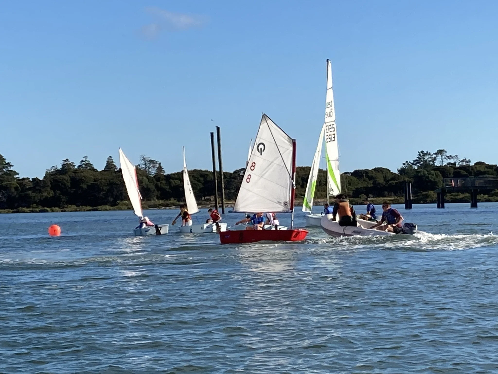 Junior Saling 6.jpg