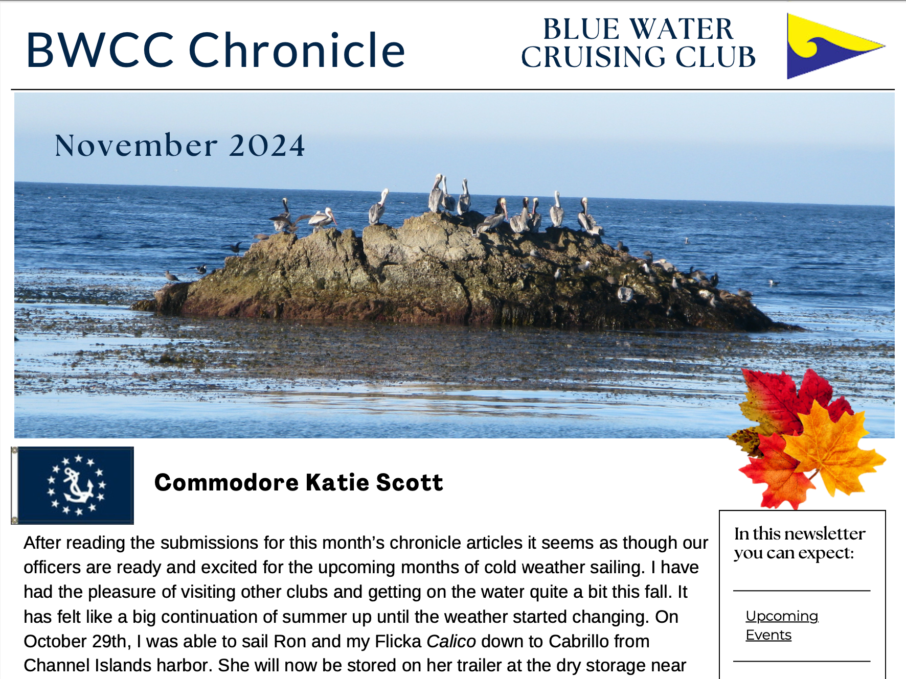 November Chronicle 2024