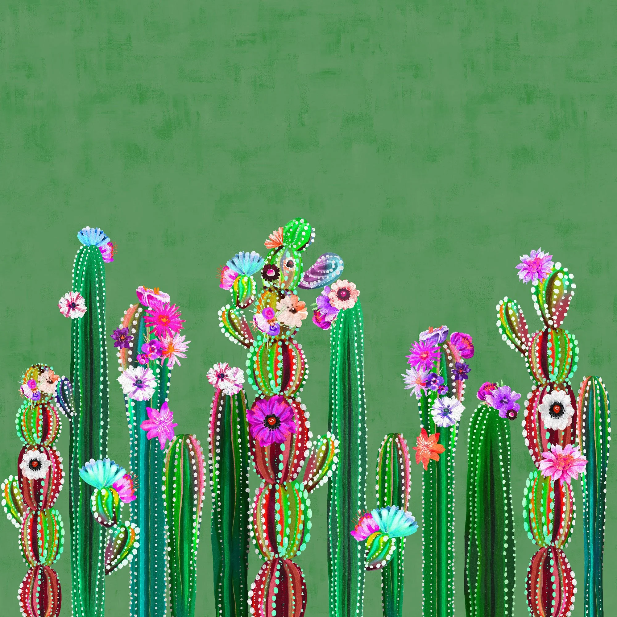 ekkekaktus-verde.jpg