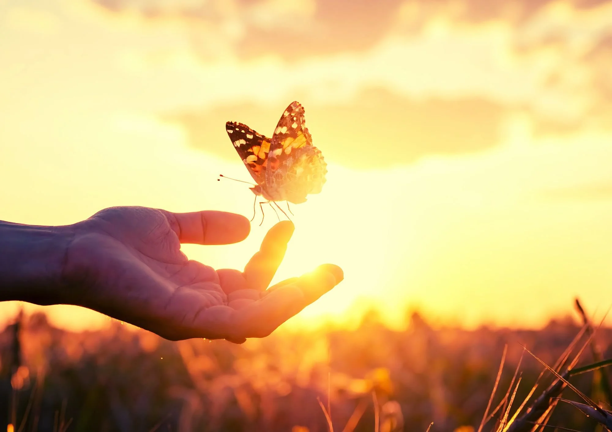 Reset Your Nervous System -TRE workshop at The Wild Box Bristol