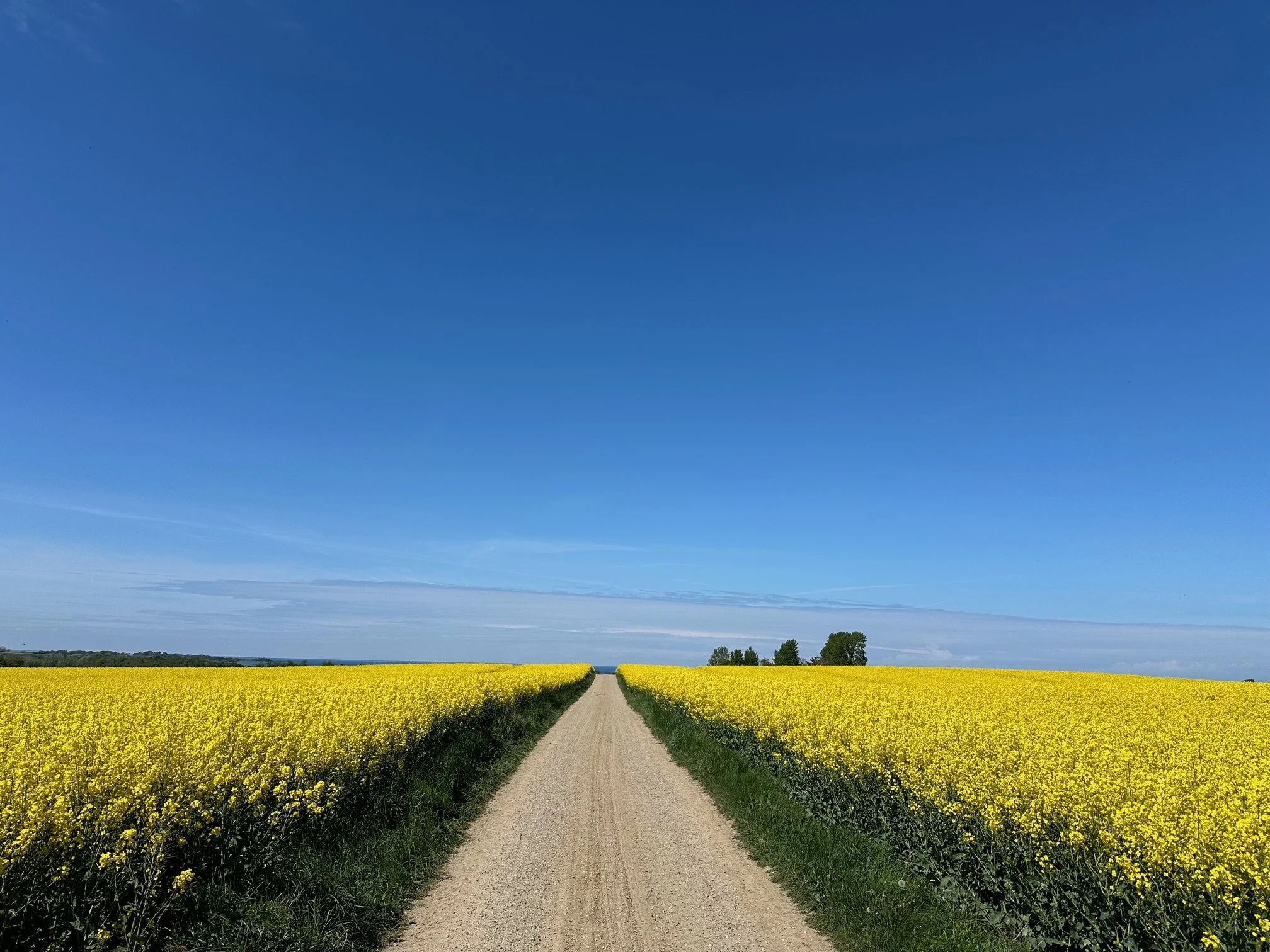 Reset Your Nervous System -TRE workshop at The Arc Centre London 