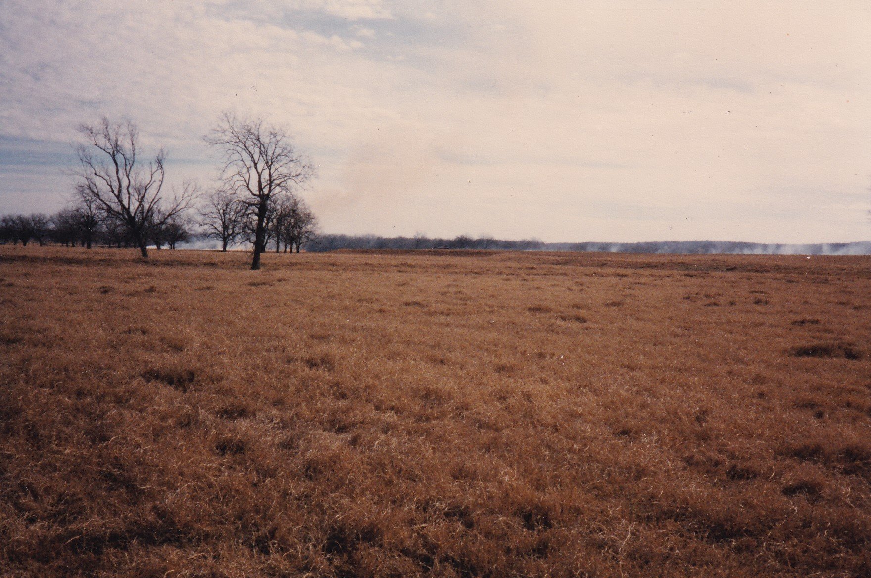 12-27-1995 Brush Fire FM 466 View from 5730.jpg