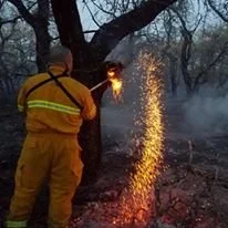 KB Hallmark IV working on a burning tree on a brush fire.