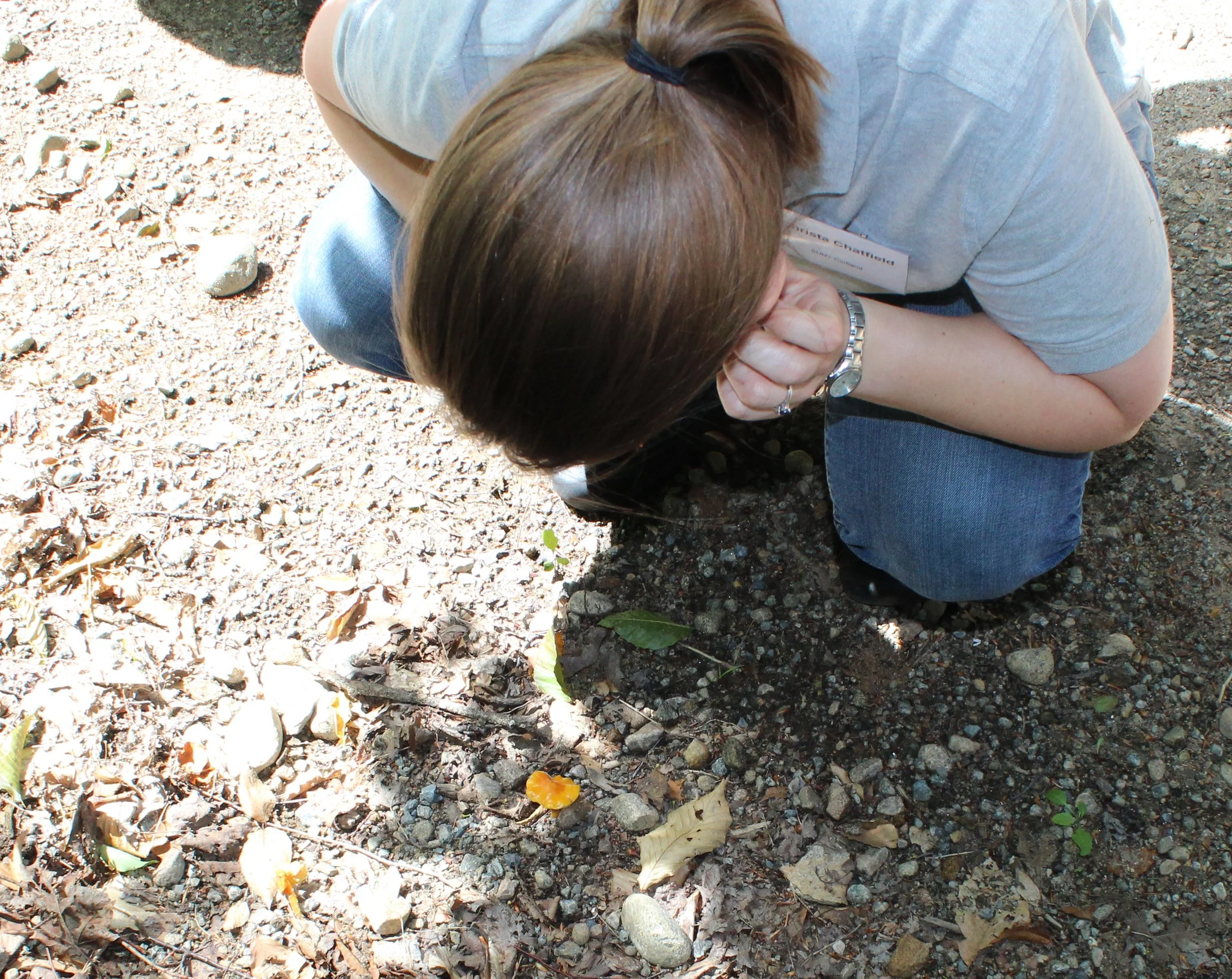 Walk 4.jpg