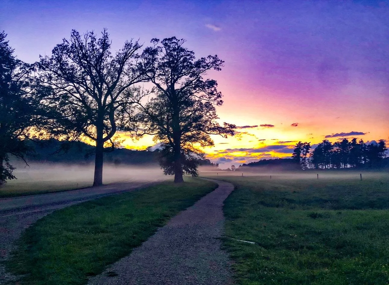 I prefer being outside in nature alone&hellip;..

No one talking, no distractions, just you and whatever&rsquo;s around you.

When it&rsquo;s quiet like that, you notice everything, the little details you&rsquo;d usually miss. Honestly, it can hit yo