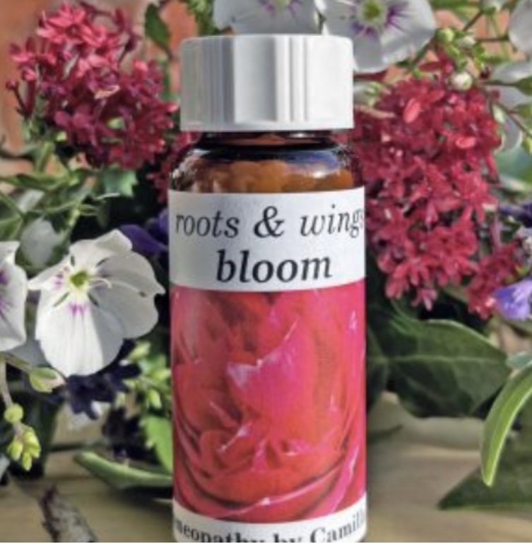 Bloom.jpeg