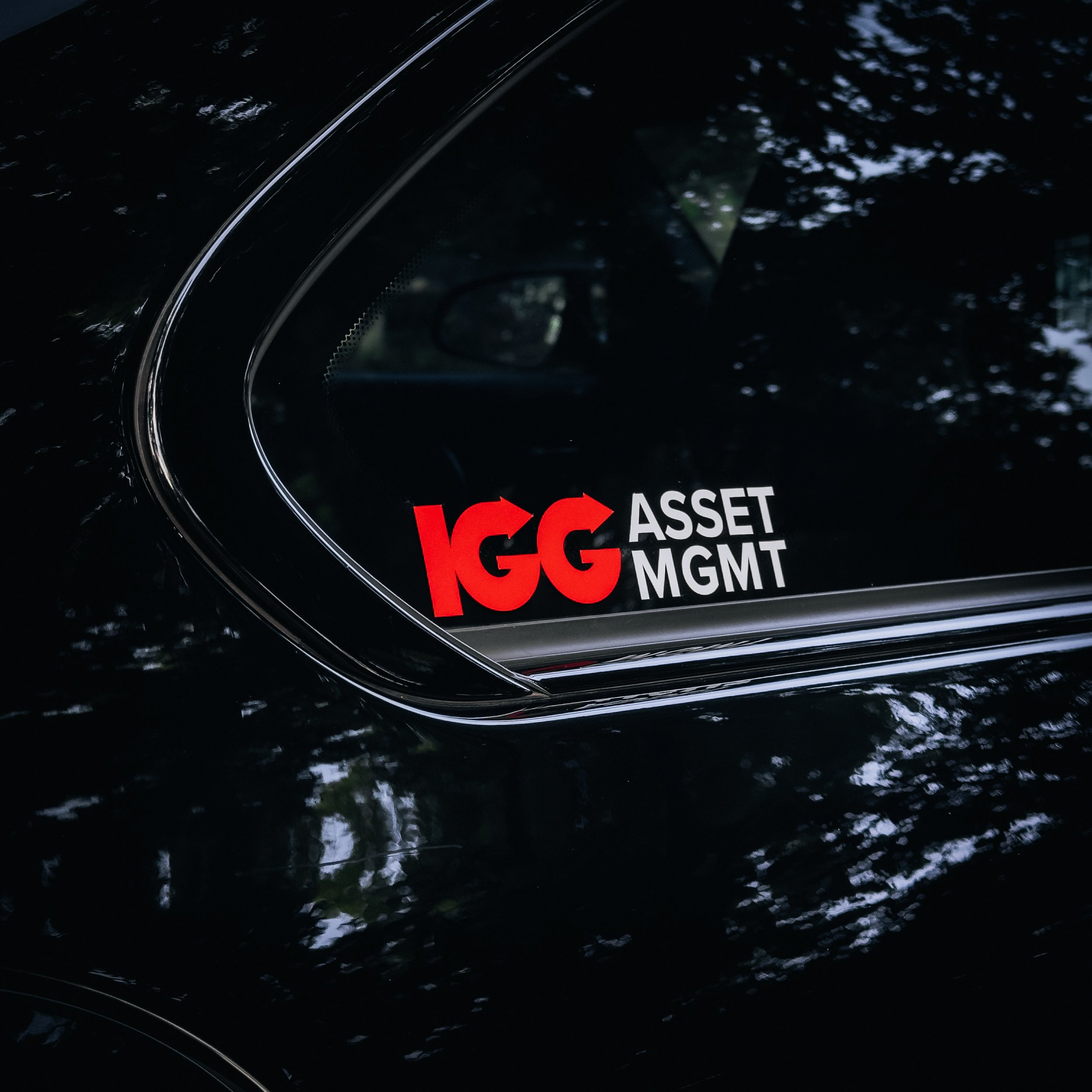 IGG Window Vinyl