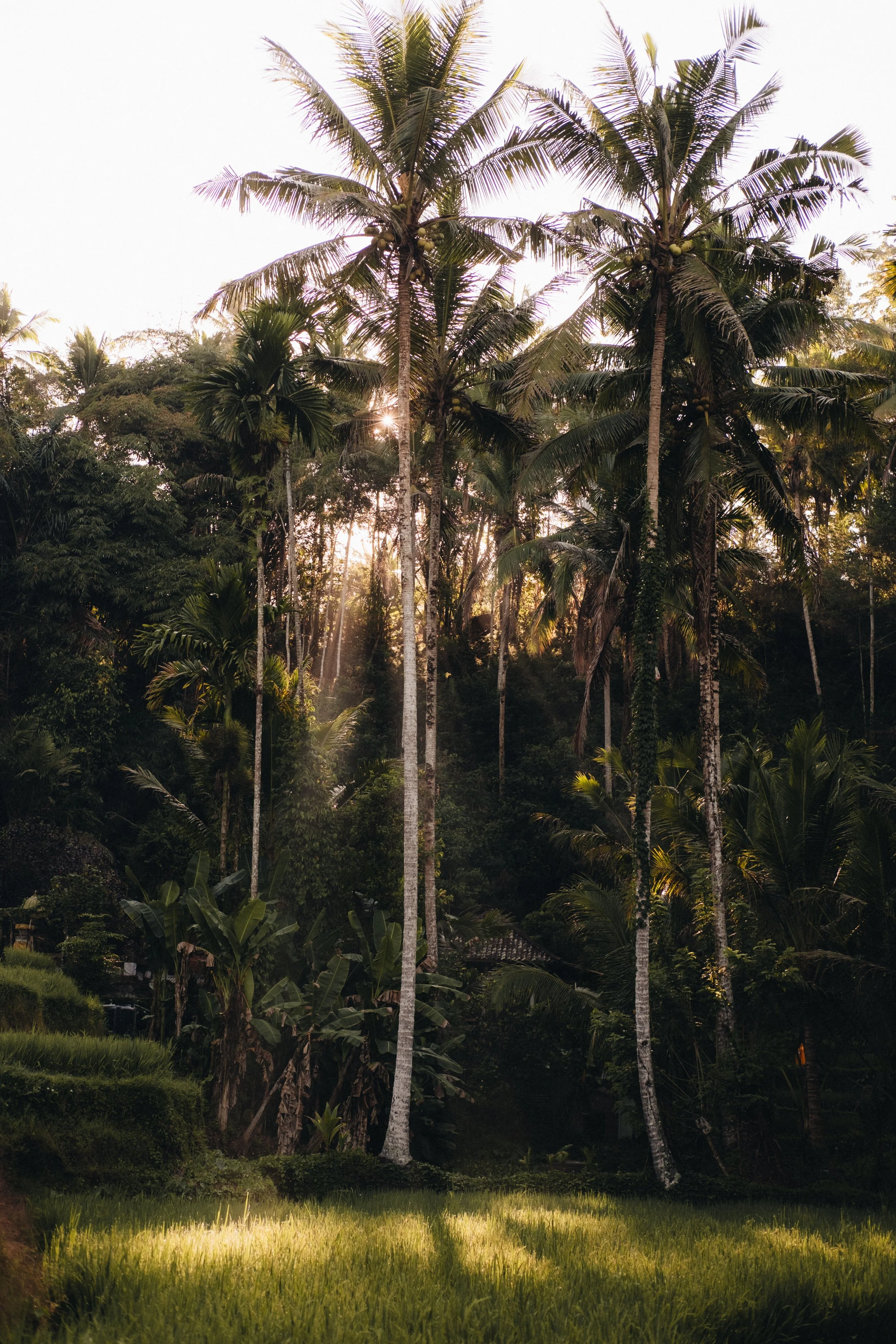 Bali_by_Anastasia_Otto_Photography-7.jpg