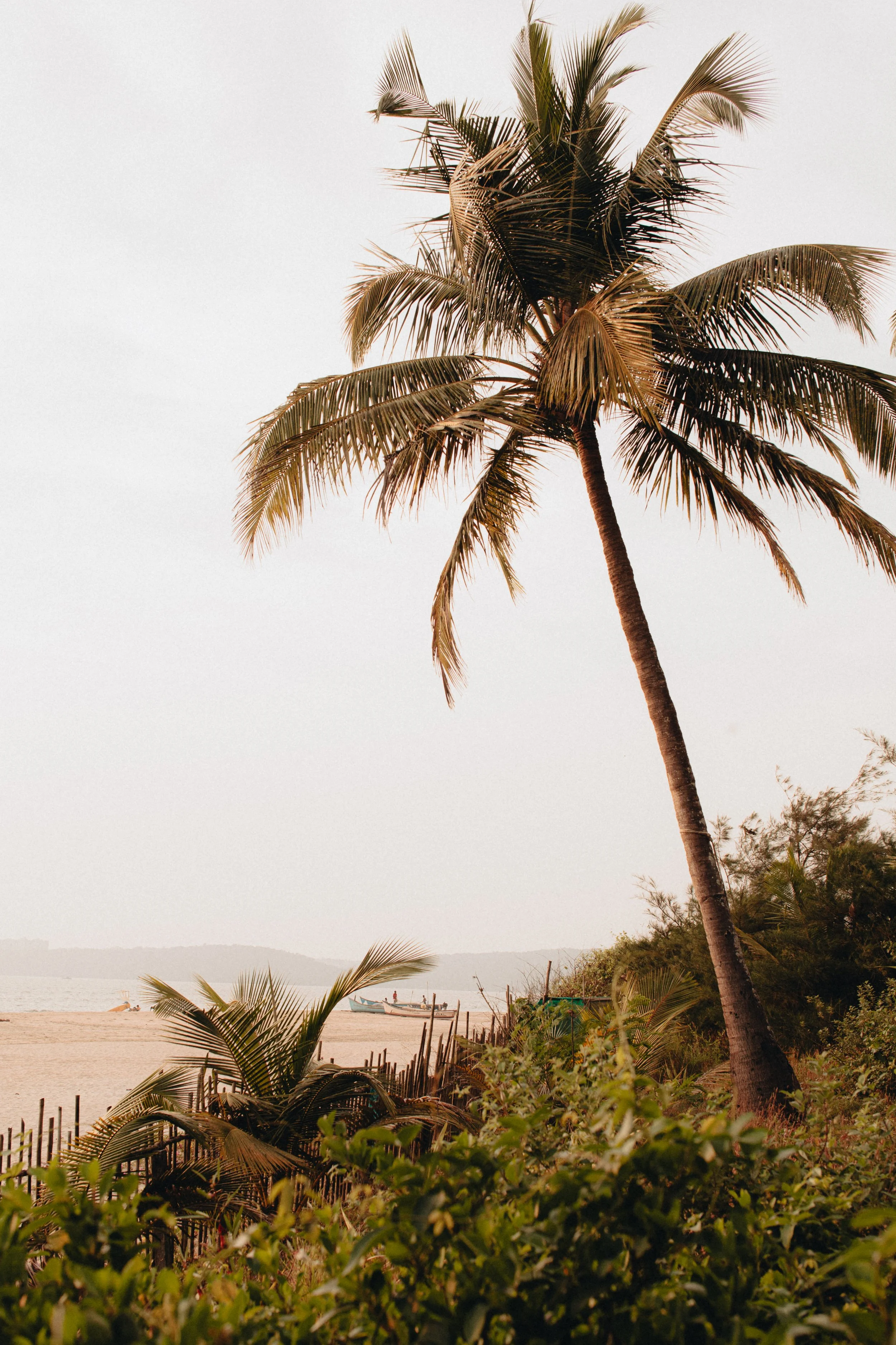 Goa_India_by_Anastasia_Otto_Photography.jpg