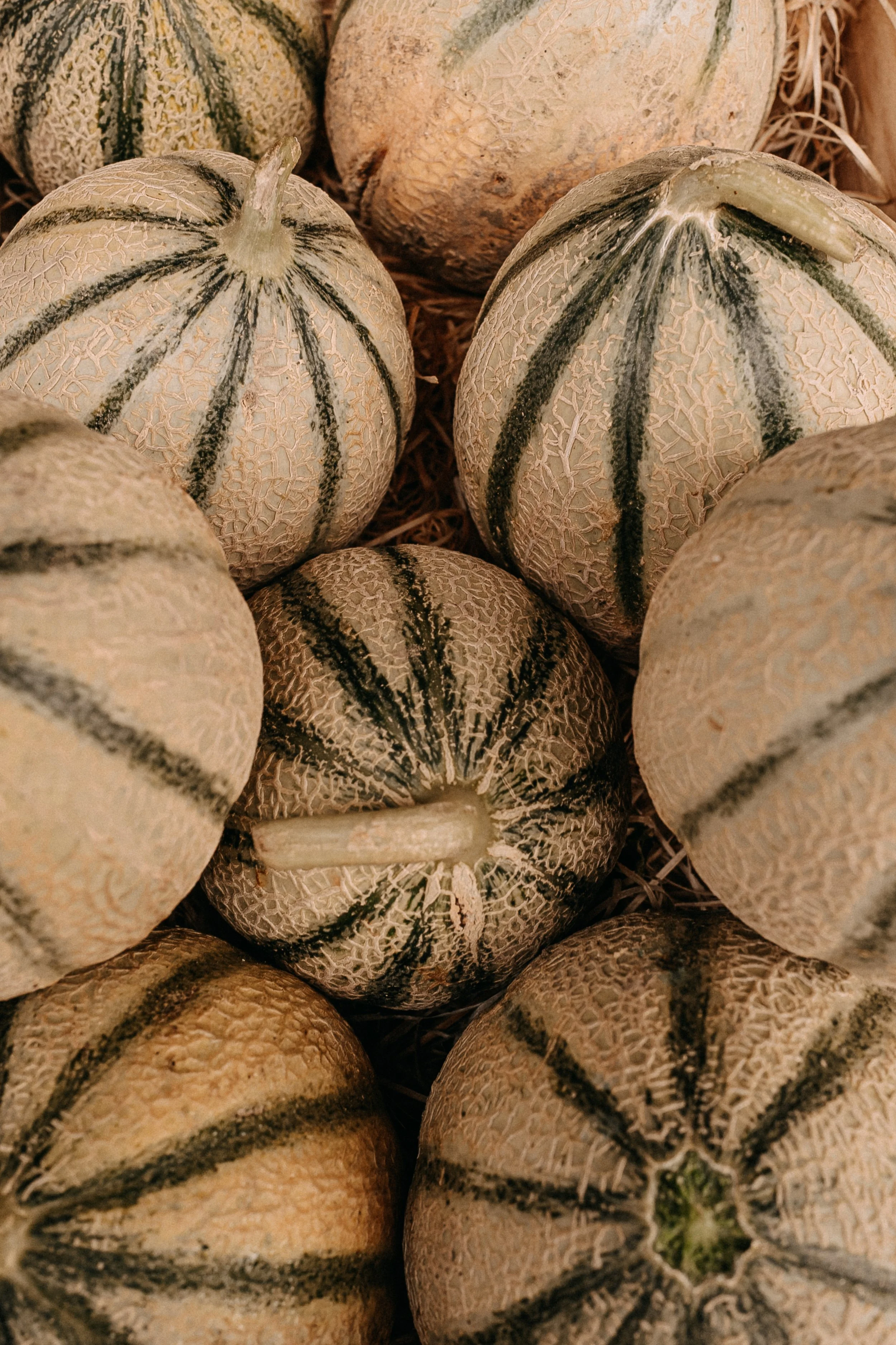 Provence_Summer_2024_by_Anastasia_Otto_Photography-107.jpg