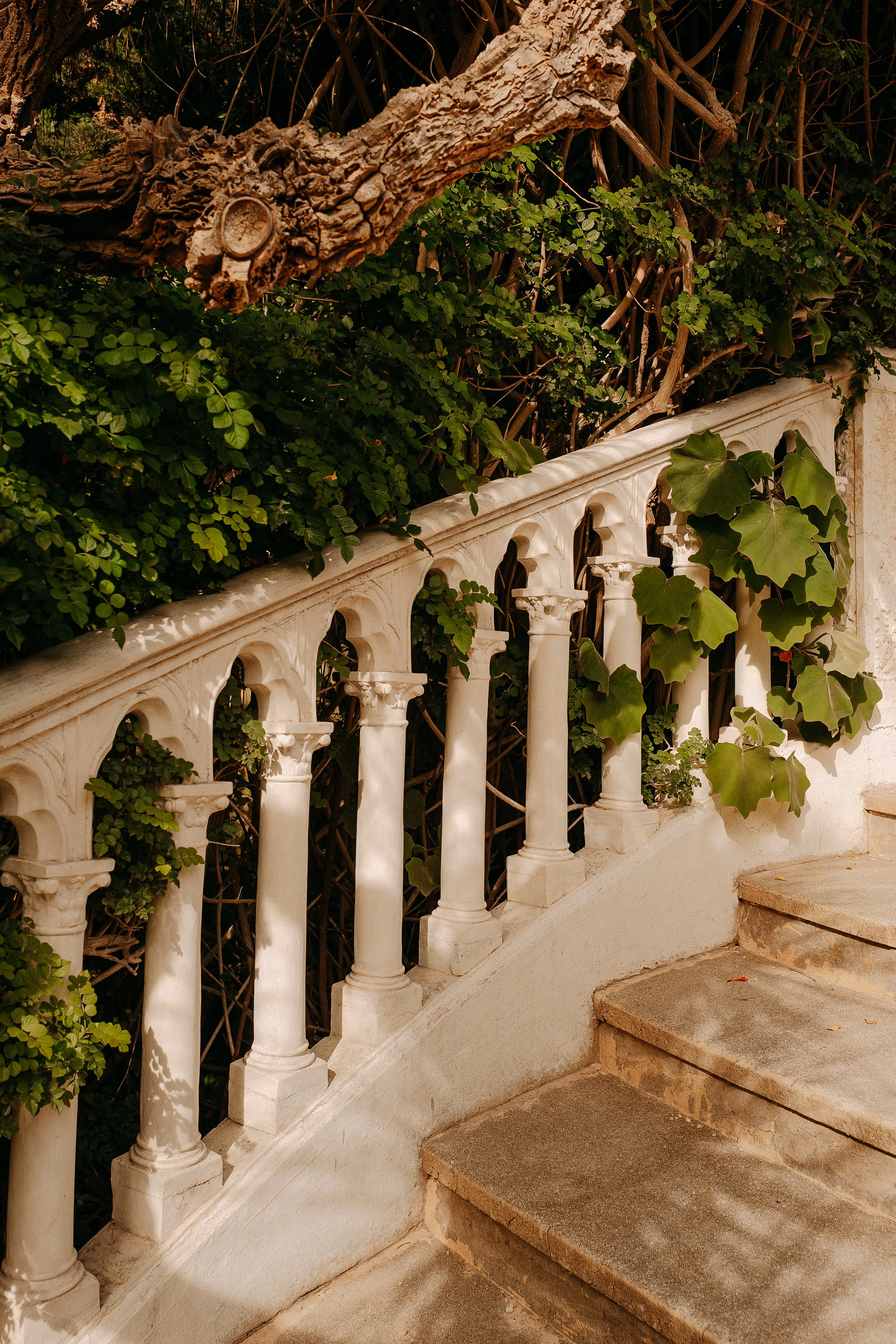 Provence_Summer_2024_by_Anastasia_Otto_Photography-243.jpg