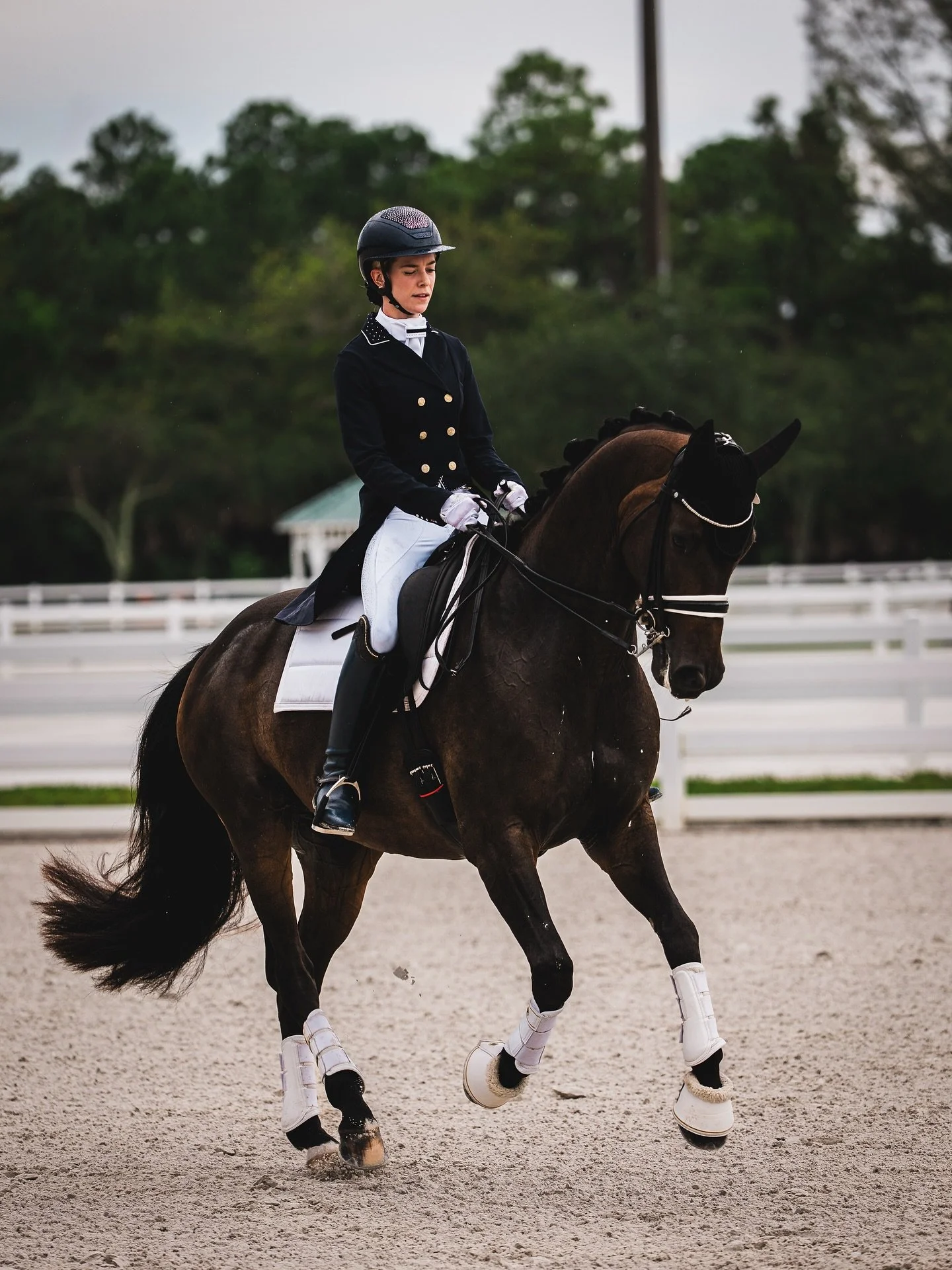 Indo being his very photogenic self warming up for our first Inter-A together last weekend ππ₯°
He scored a 68% and took home the π
Use these photos as motivation to look up so your eyes don’t look closed in your show photos, I certainly wi