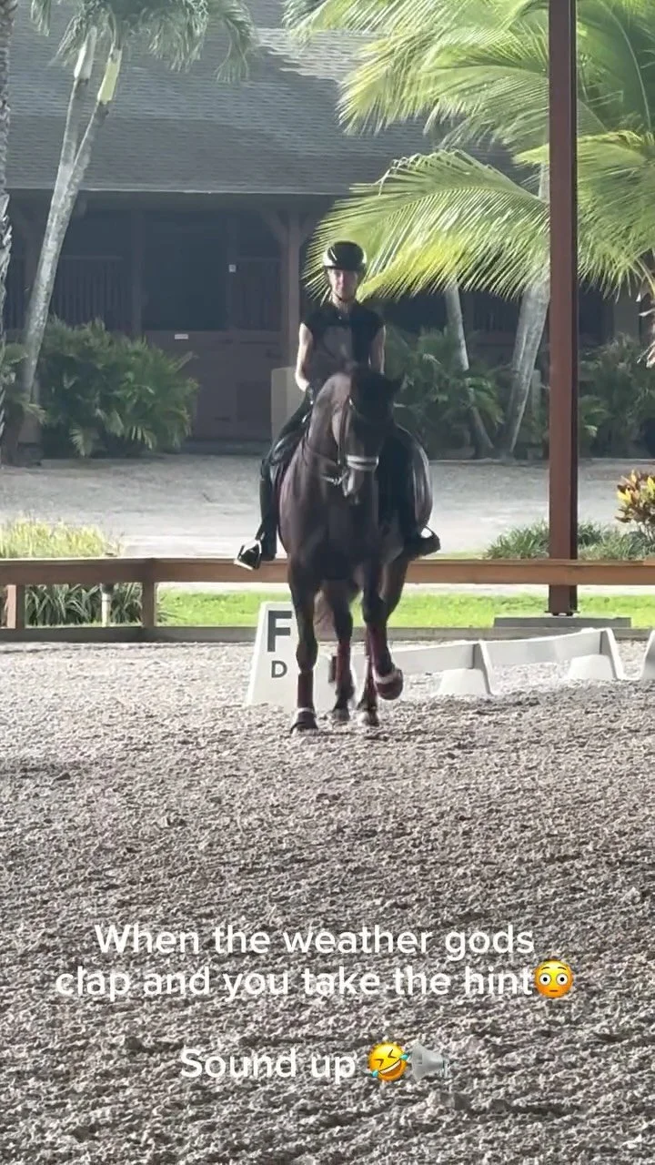 Good thing @equ_leonova’s Indo is a very good boy!! π¦π
It’s always better to take a break and hop off during unpredictable weather rather than risk the safety of you or your horse- this storm rolled in fast and I took this moment as my