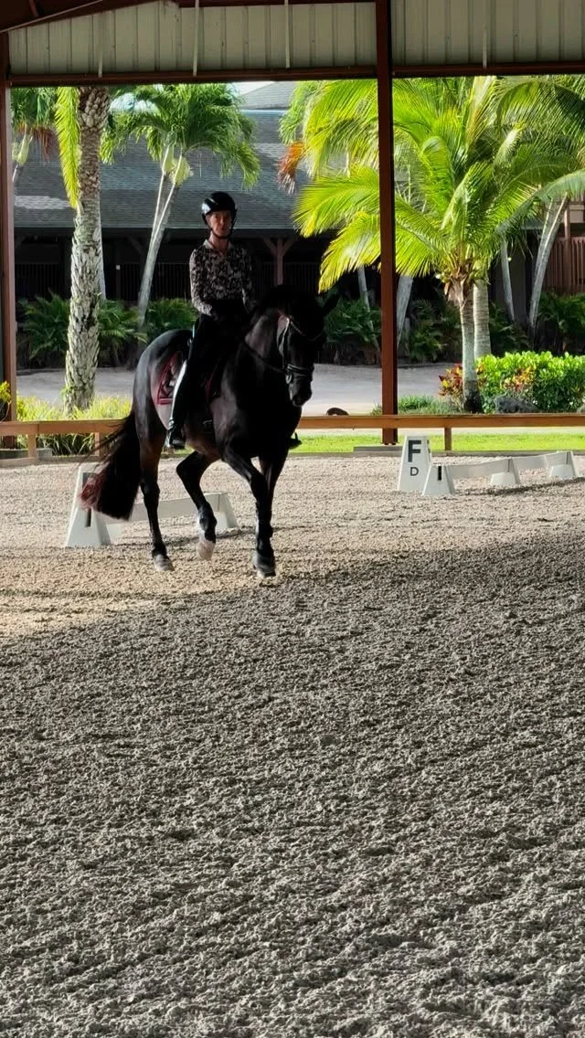 I always enjoy riding @equ_leonova’s Indo for some extra days while she visits family π₯° He has gotten so much softer, fitter, and straighter this past Winter season πͺπ»
Kristina has been so dedicated and patient in the last 1.5 years with him