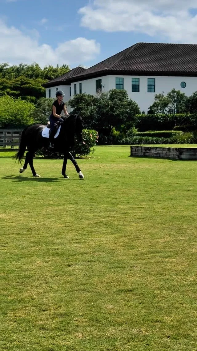 Maybe, just maybe I’m starting to get the hang of the hunter ways?? π€π€ͺ
What an incredibly fun season learning the ropes from the very best @johnfrench_kpf and his fabulous team. They have given Filou wonderful care and attention, as well as
