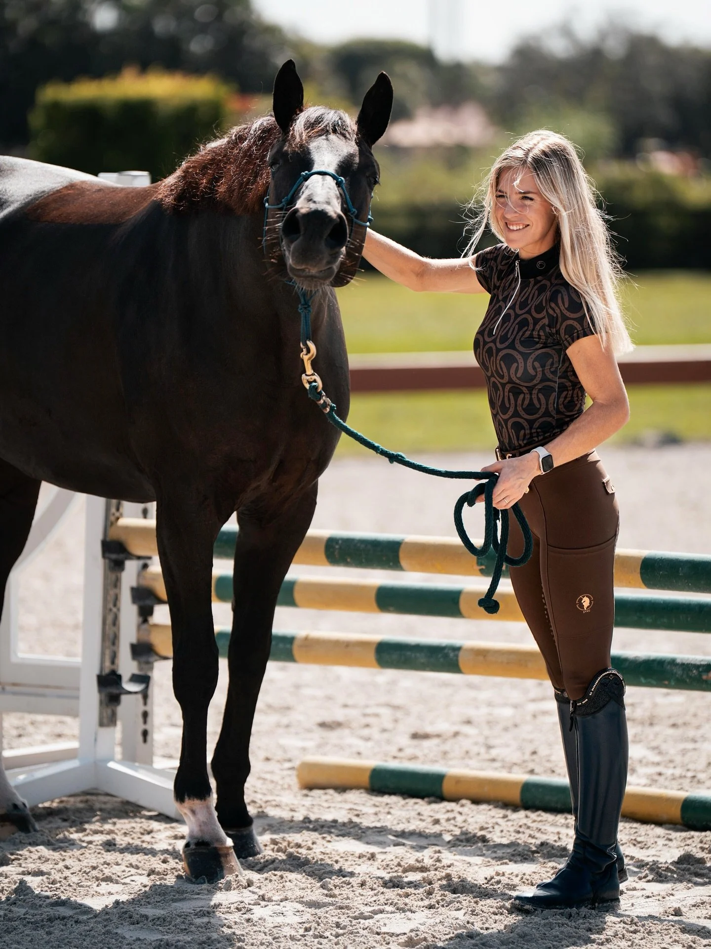 Filou doesn&rsquo;t mind being the only hunter in a barn full of dressage horses 😋💕 

Feeling very fall in @syncequestrian&rsquo;s new color collection 
Use code APDRESSAGE for 15% off at checkout ✨

📸 @shapedbyathousandshots