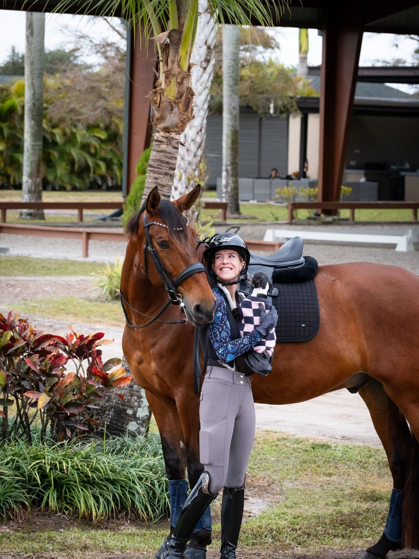 It&rsquo;s been such a rewarding season working with @wendy.judd &amp; her sweet boy Gee 🦄💖

Throughout the winter, we&rsquo;ve used the @equestic SaddleClip to track Gee&rsquo;s symmetry, workload, and overall development, and the insight has been