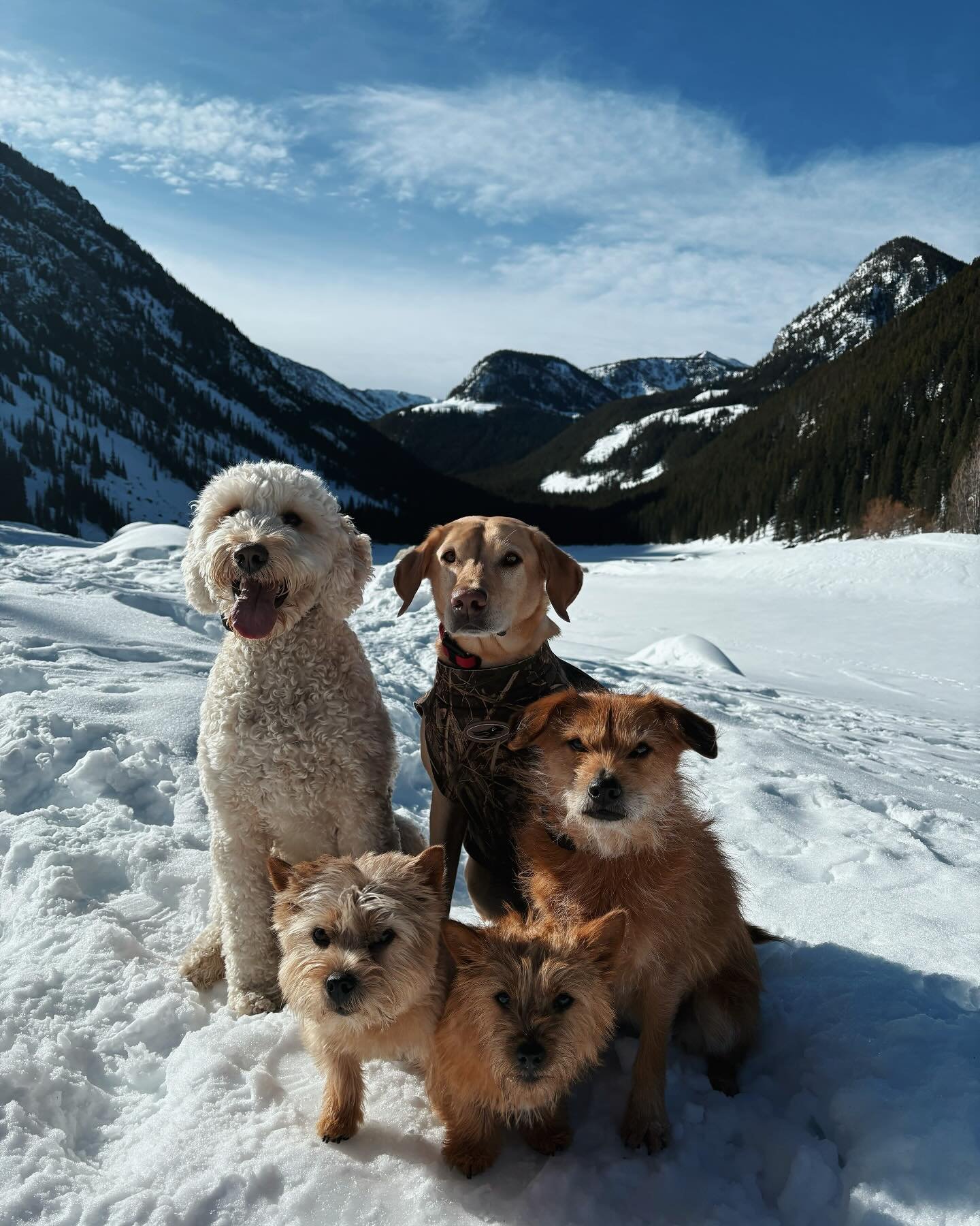 Enjoying the mountains with the girl gang🫶