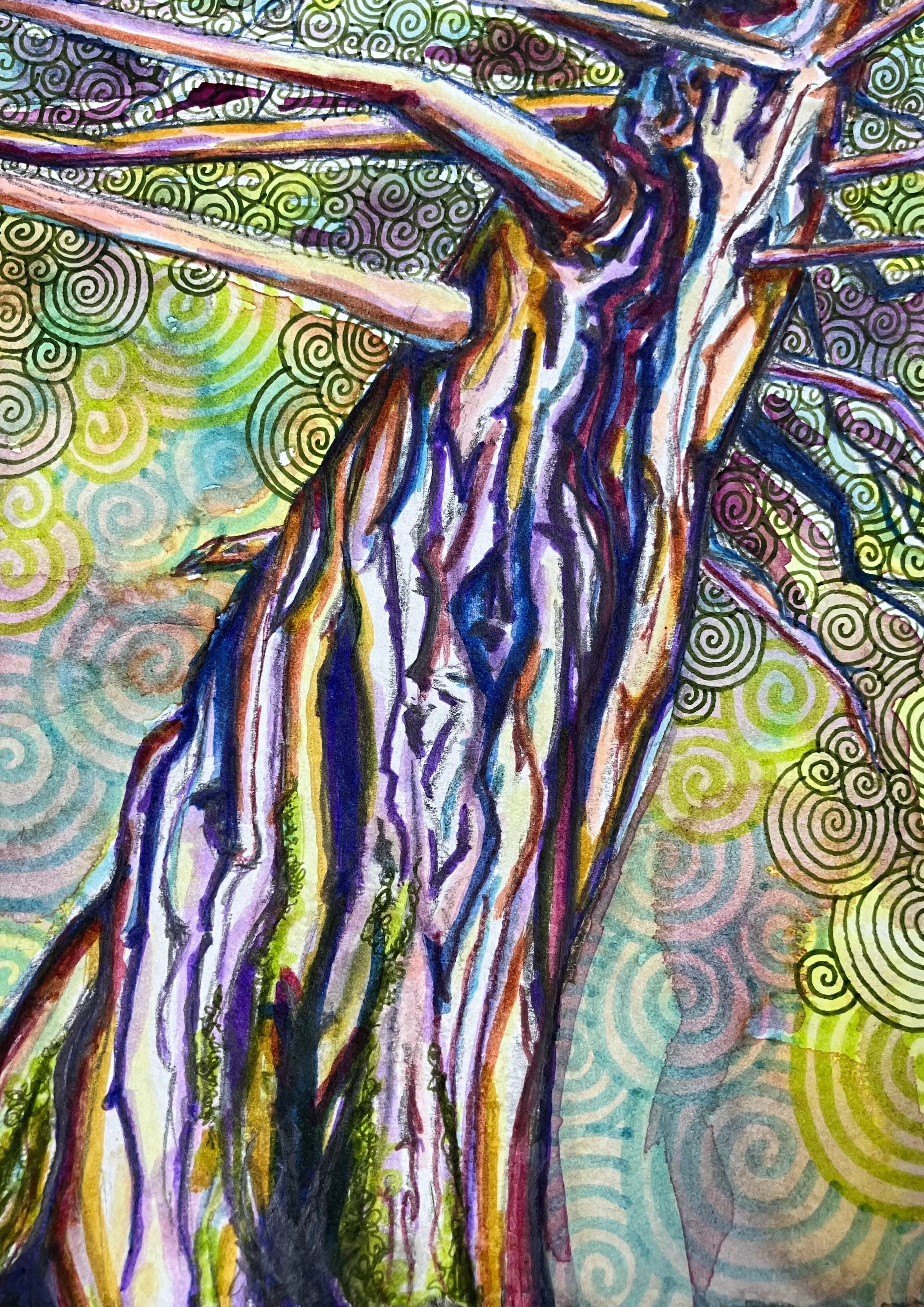 Legacy Cedar