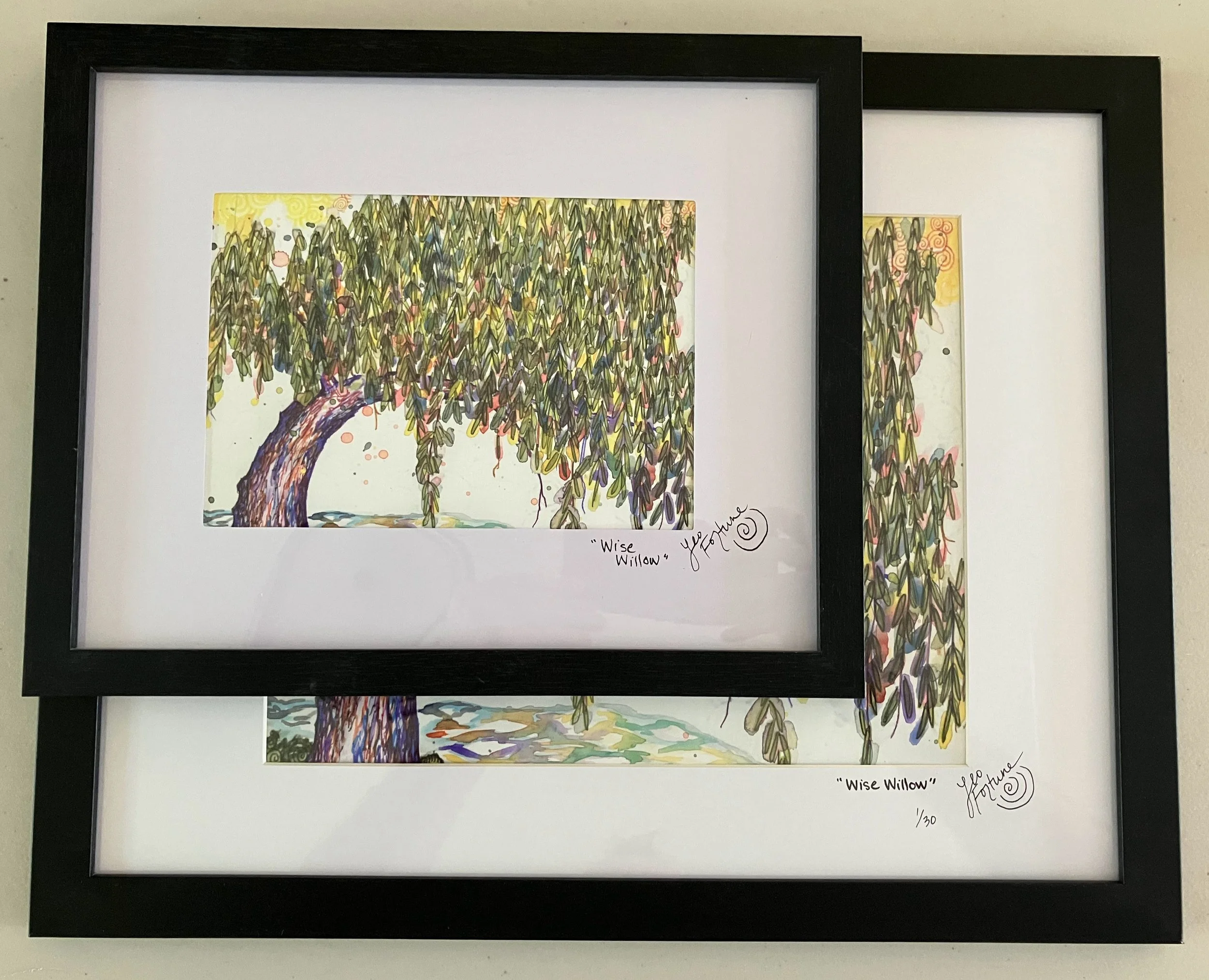 2SignedMattedFramedWiseWillow.jpg
