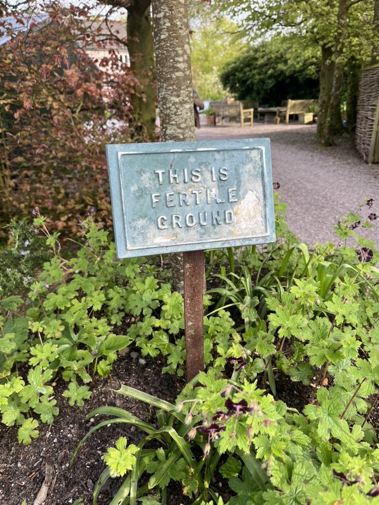 Ballymaloe Cookery School: On Fertile Ground…