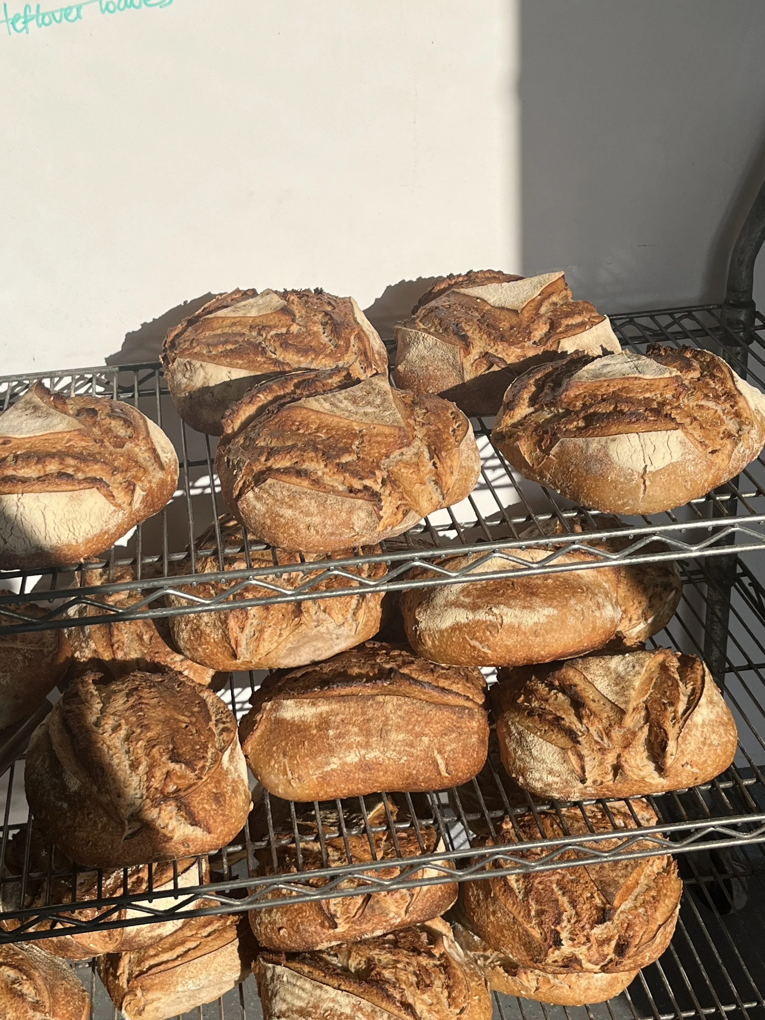 Ballymaloe: Week three