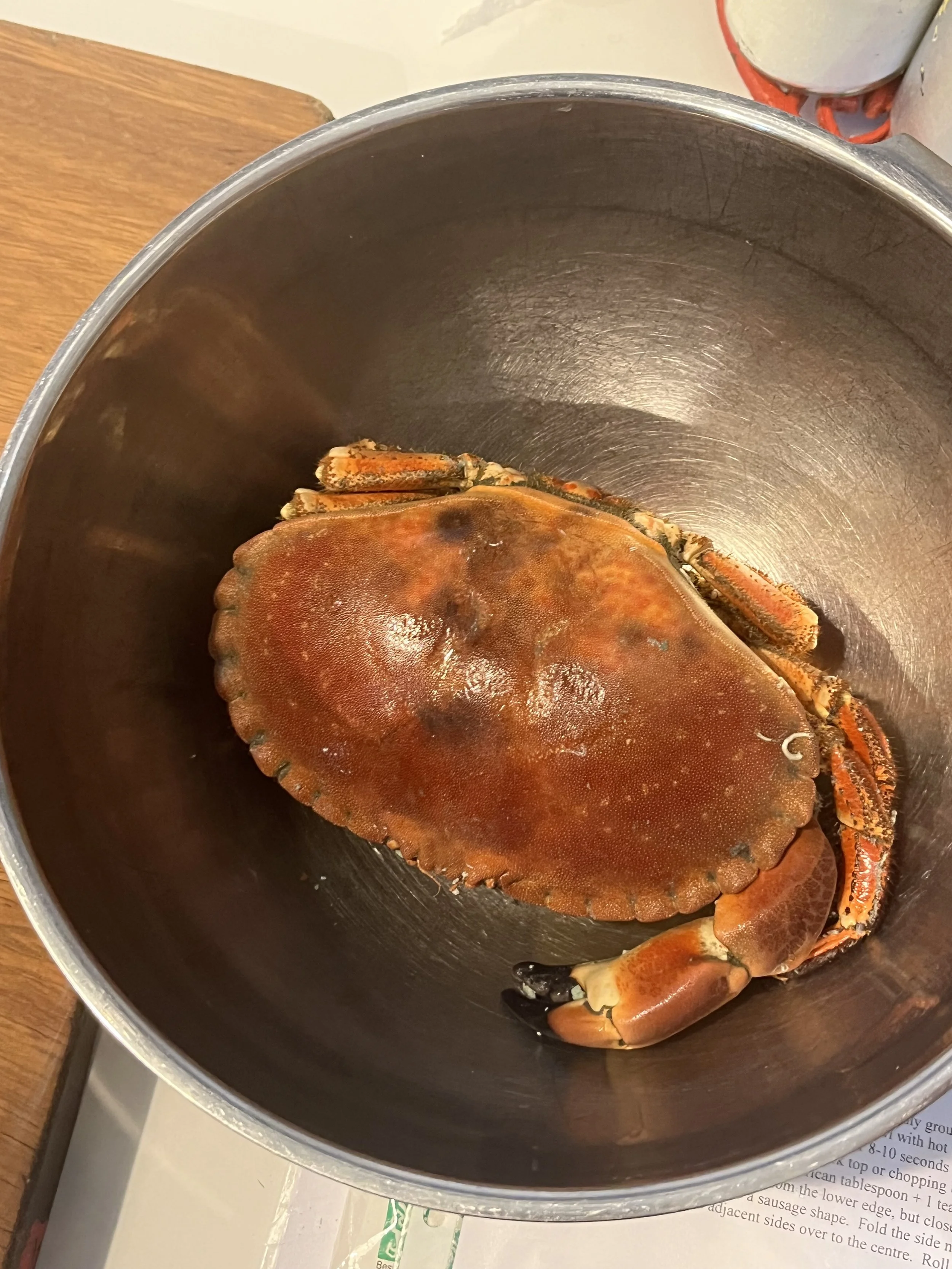 IMG_7346.jpeg