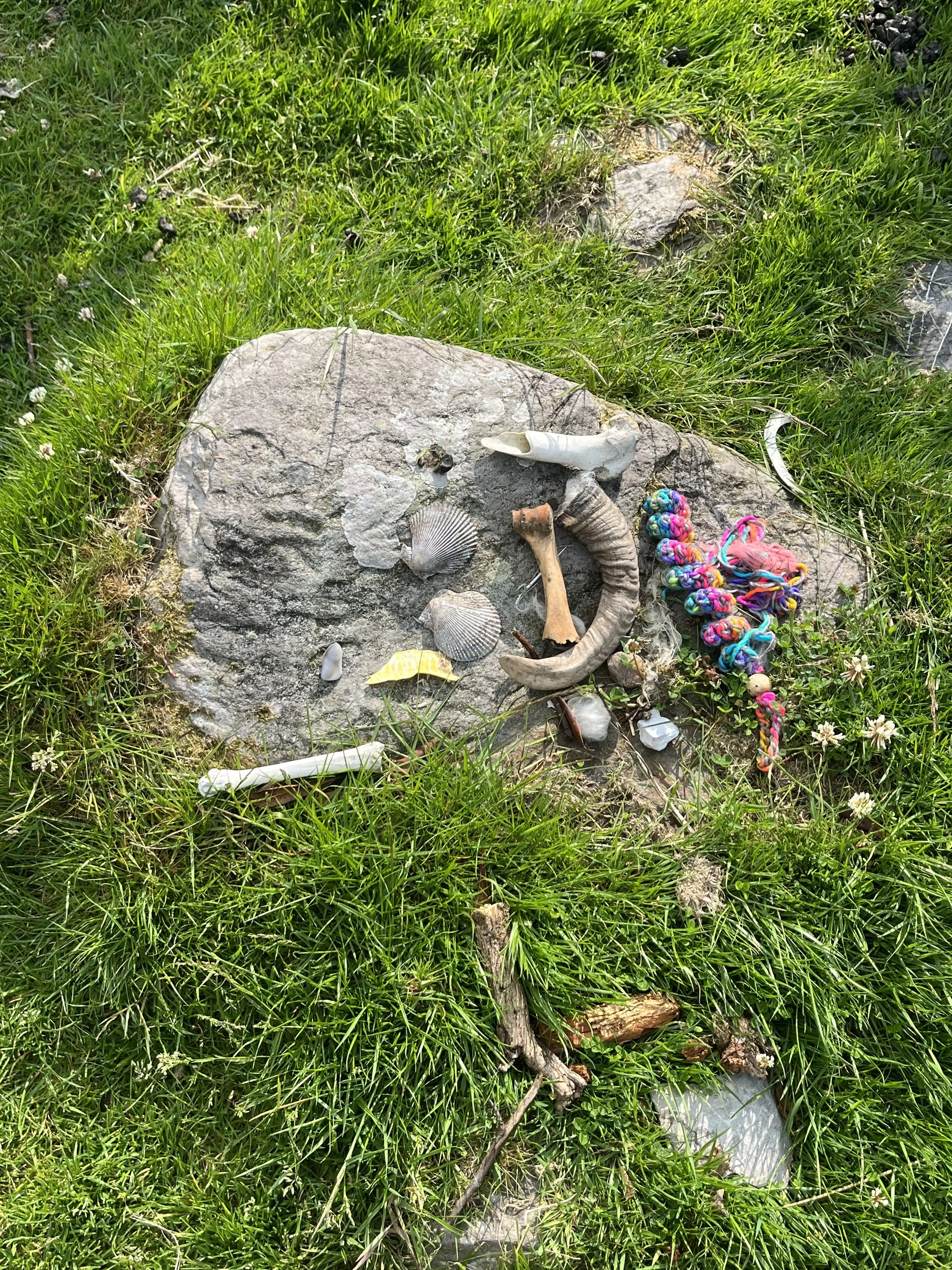 Ballymaloe: Week 7 