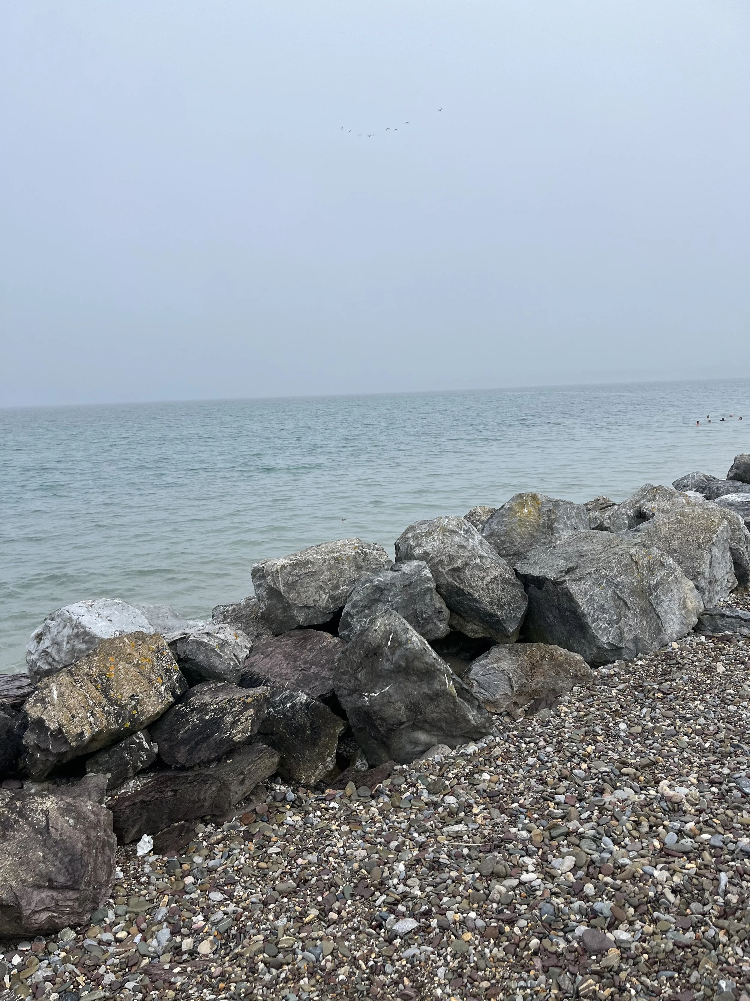 IMG_7952.jpeg