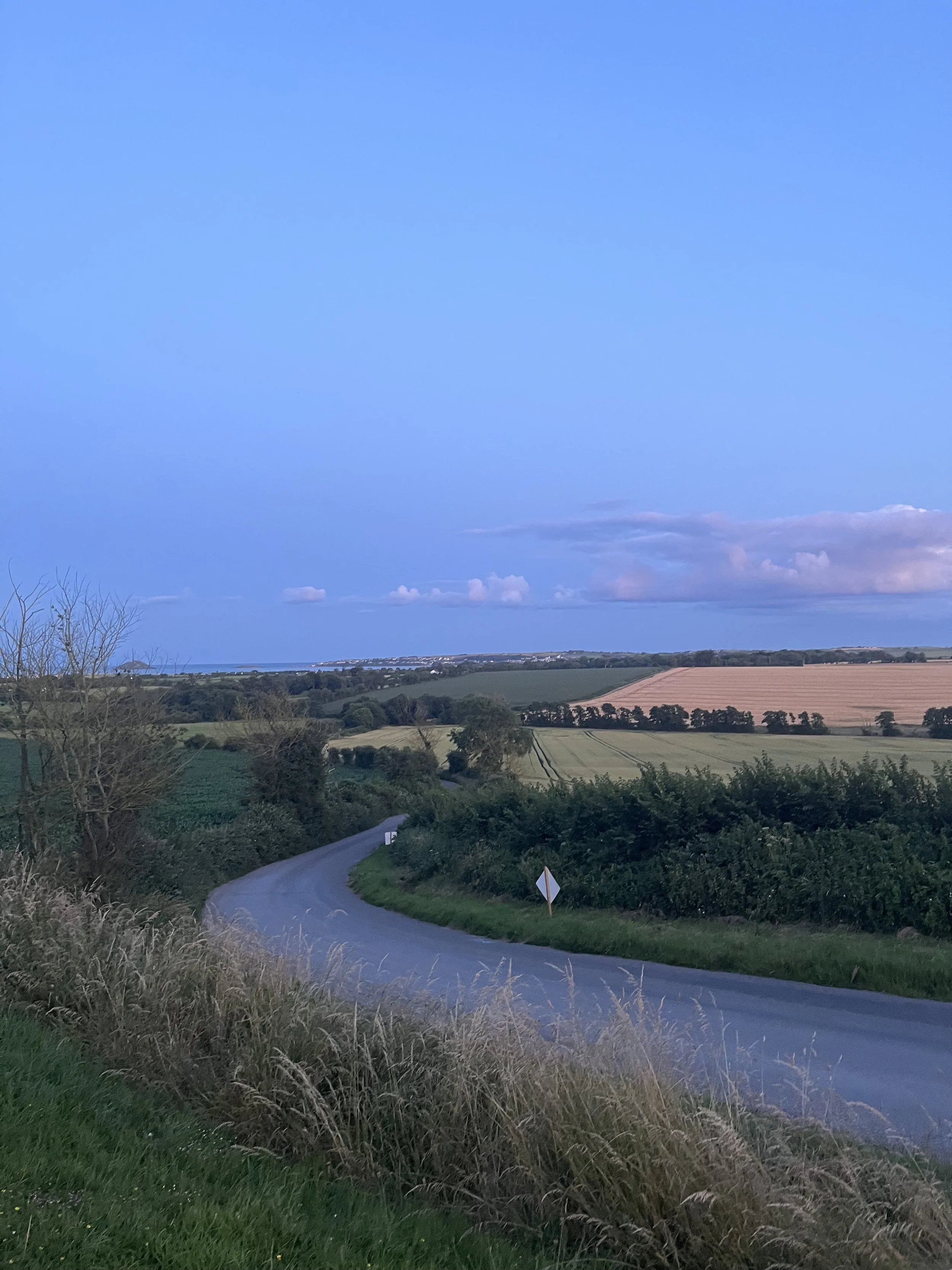 IMG_8138.jpeg