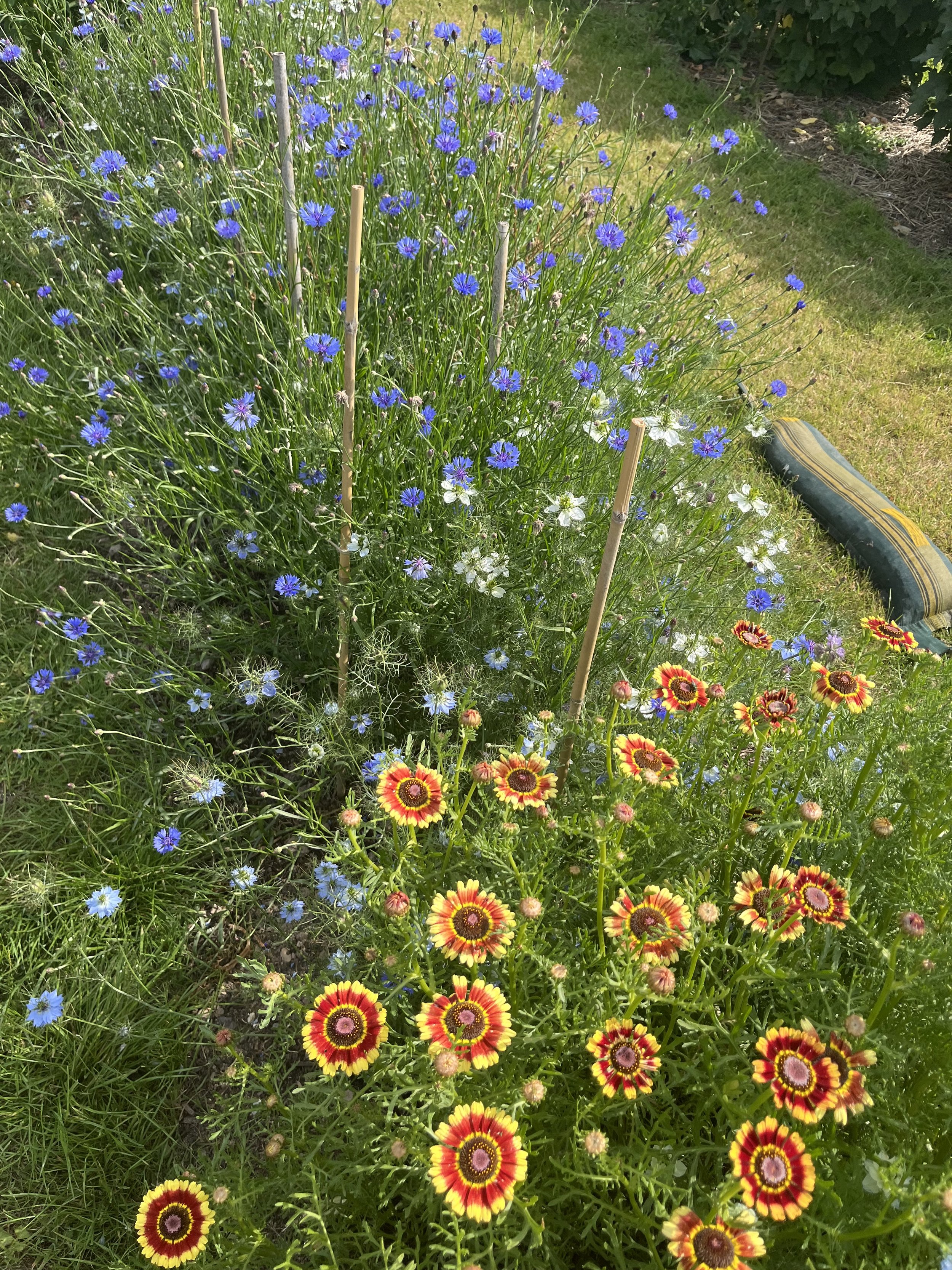 IMG_8784.jpeg