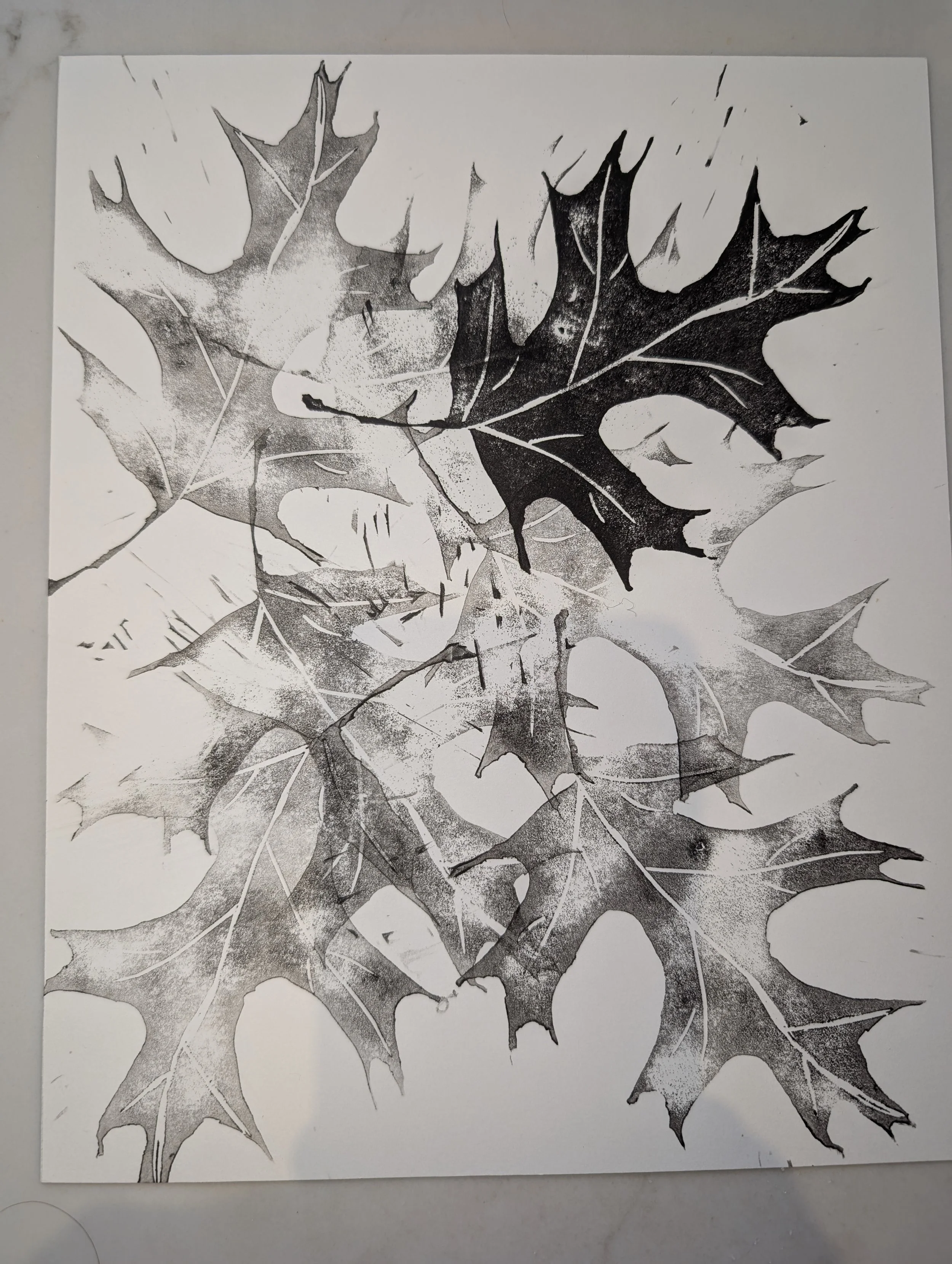 Caitlin Burke Printmaking (3).jpg