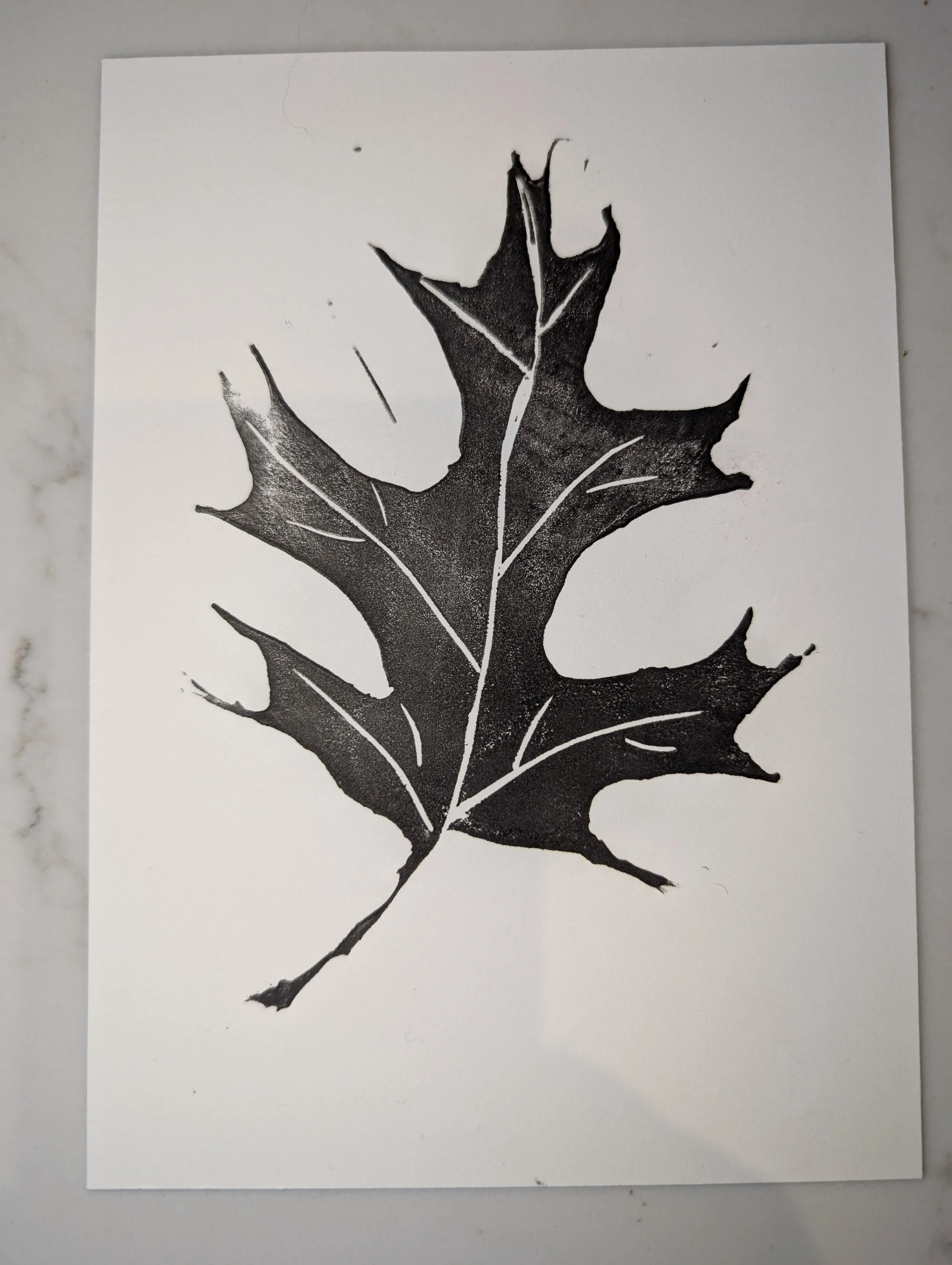 Caitlin Burke Printmaking (2).jpg