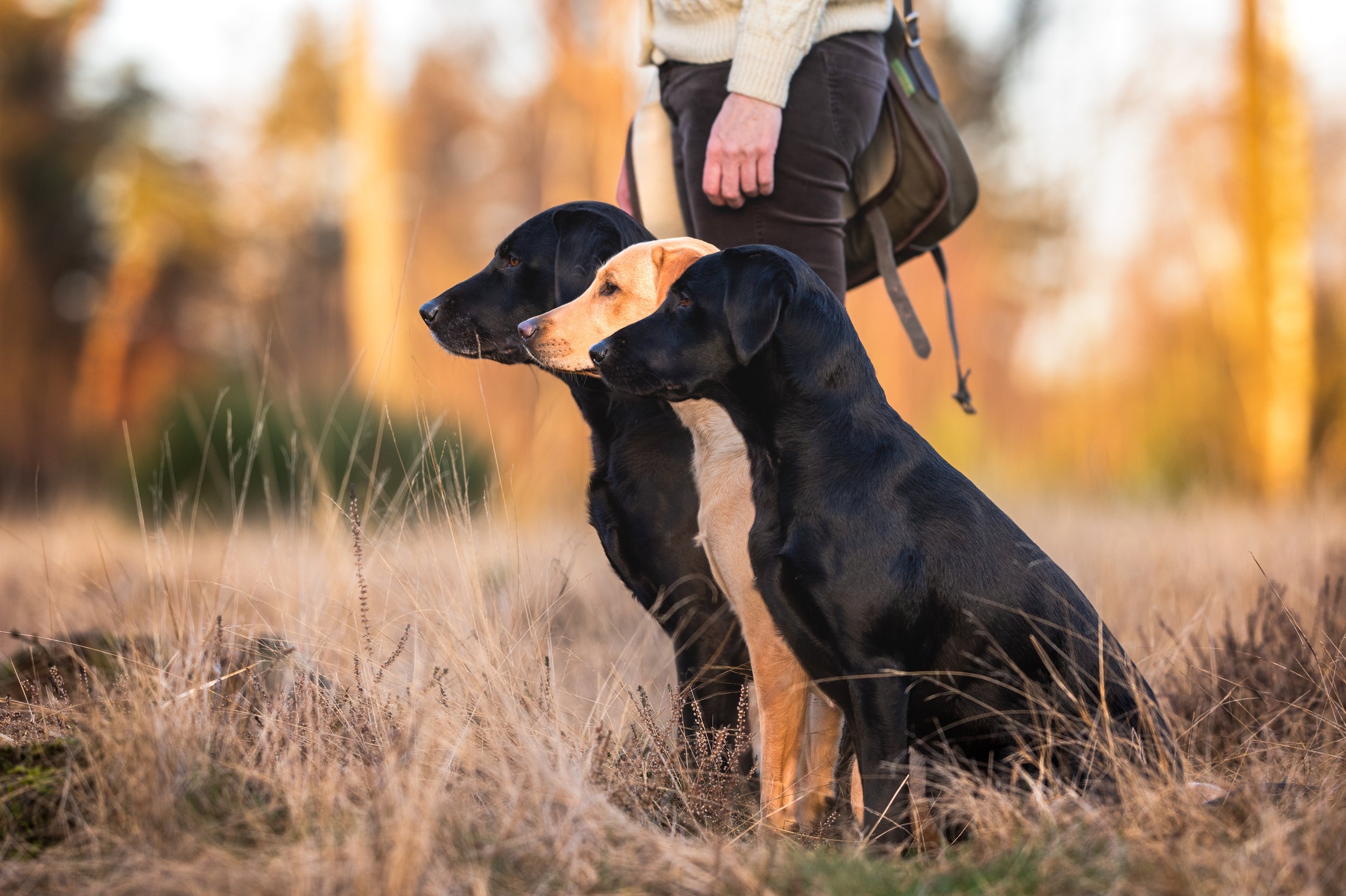 DRUCK DSC_2999-Bearbeitet.jpg