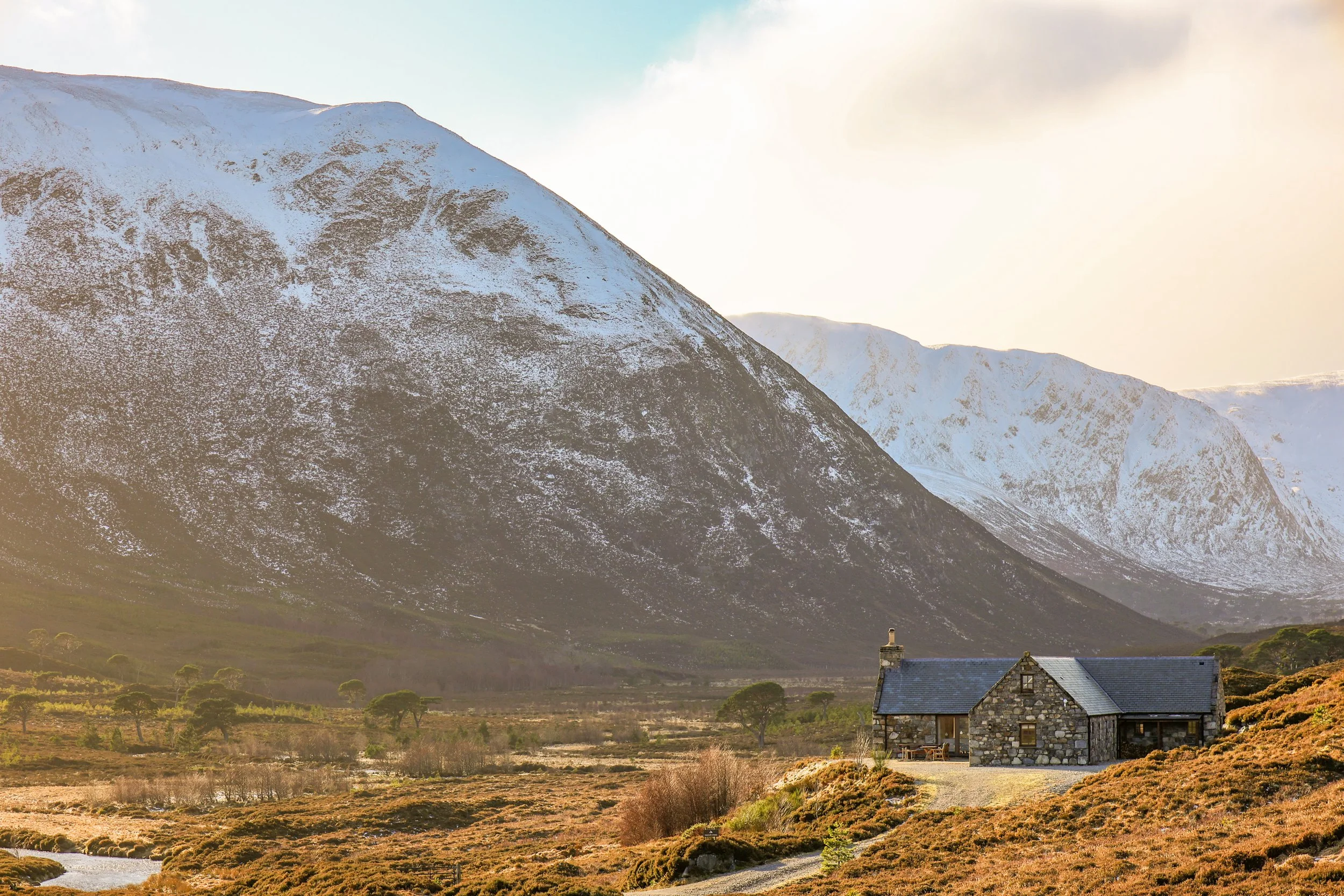 AWR 7D80B44B-C488-4E4D-9652-3E49A4D12041.JPEG