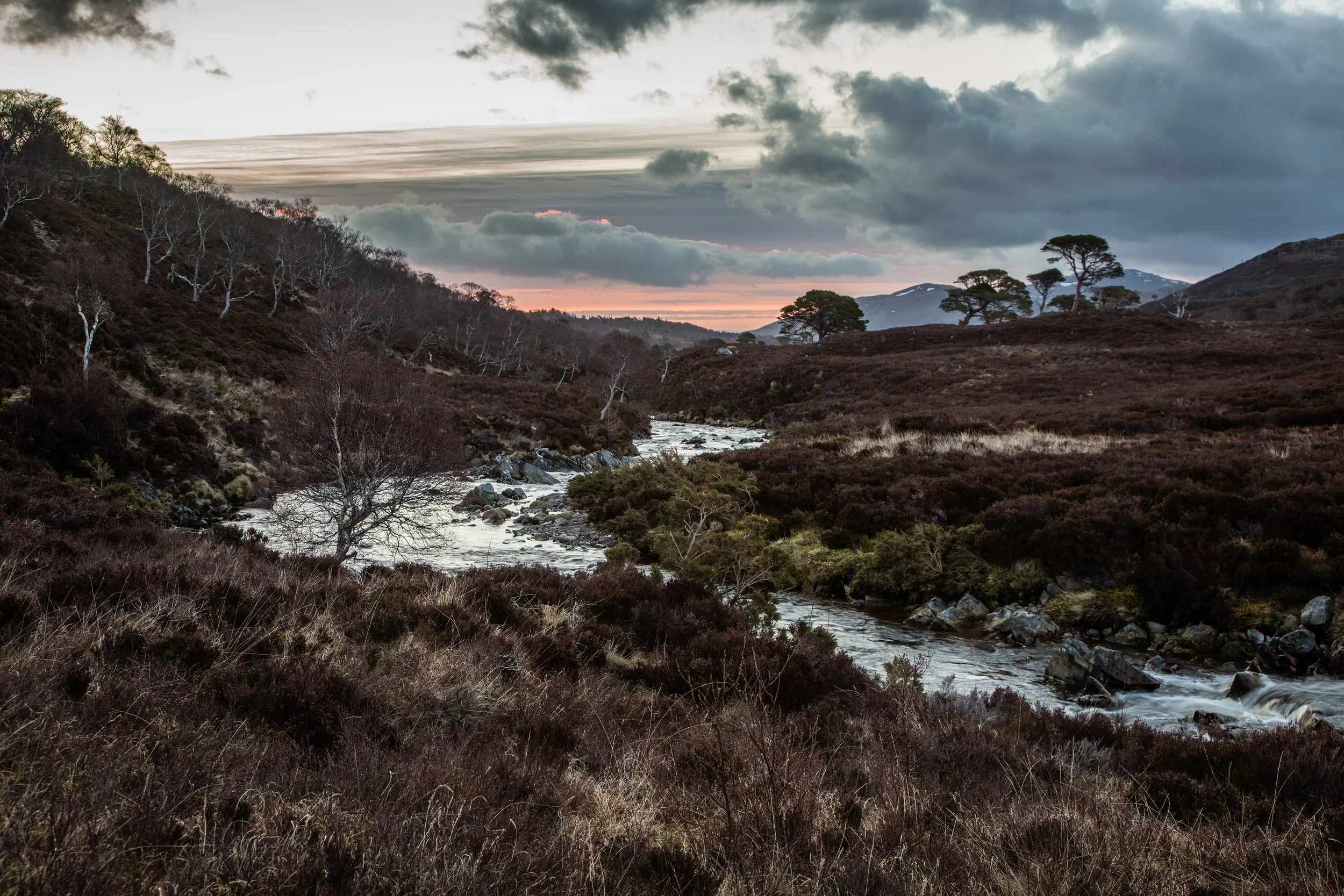AWR Alladale Landscape - 2.jpg