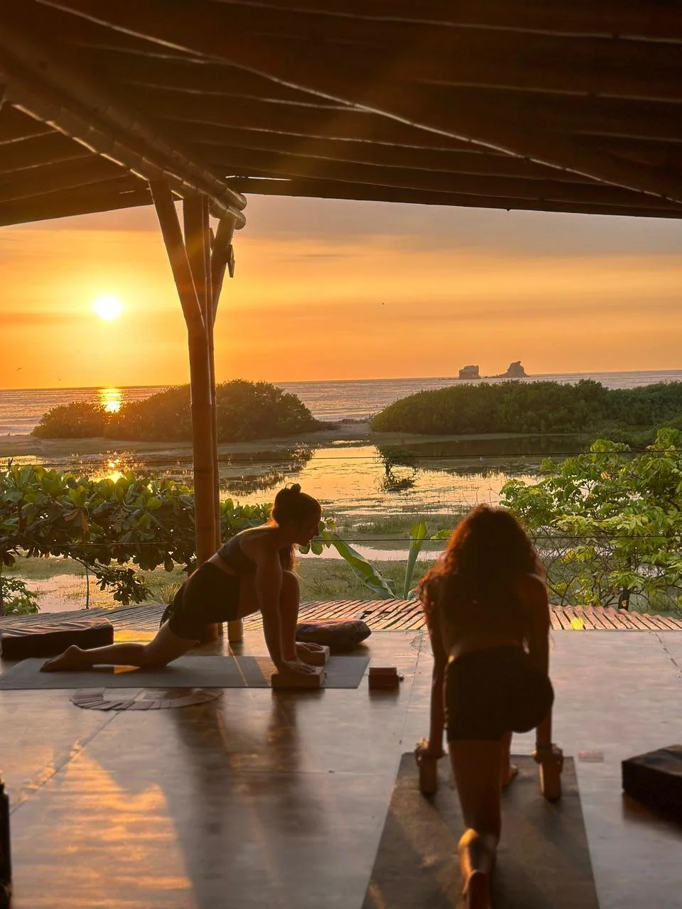 WhatsApp Image 2026-01-12 at 3.37.50 PM.jpeg