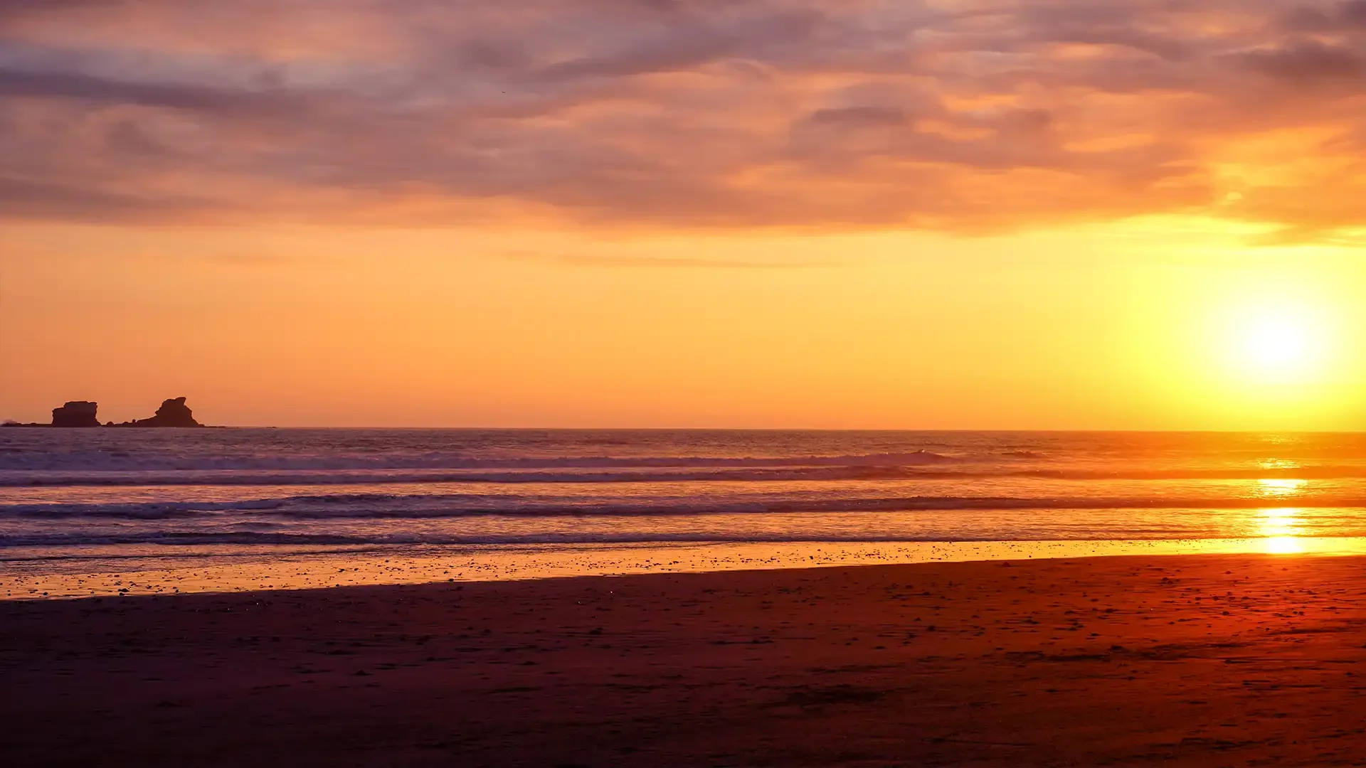 Rooted in Motion: Building Resilience in a World That Won't Stand Still