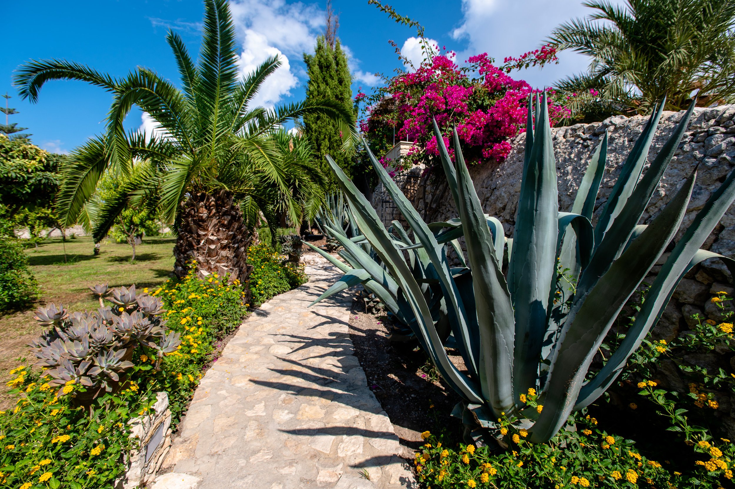 il giardino.jpg