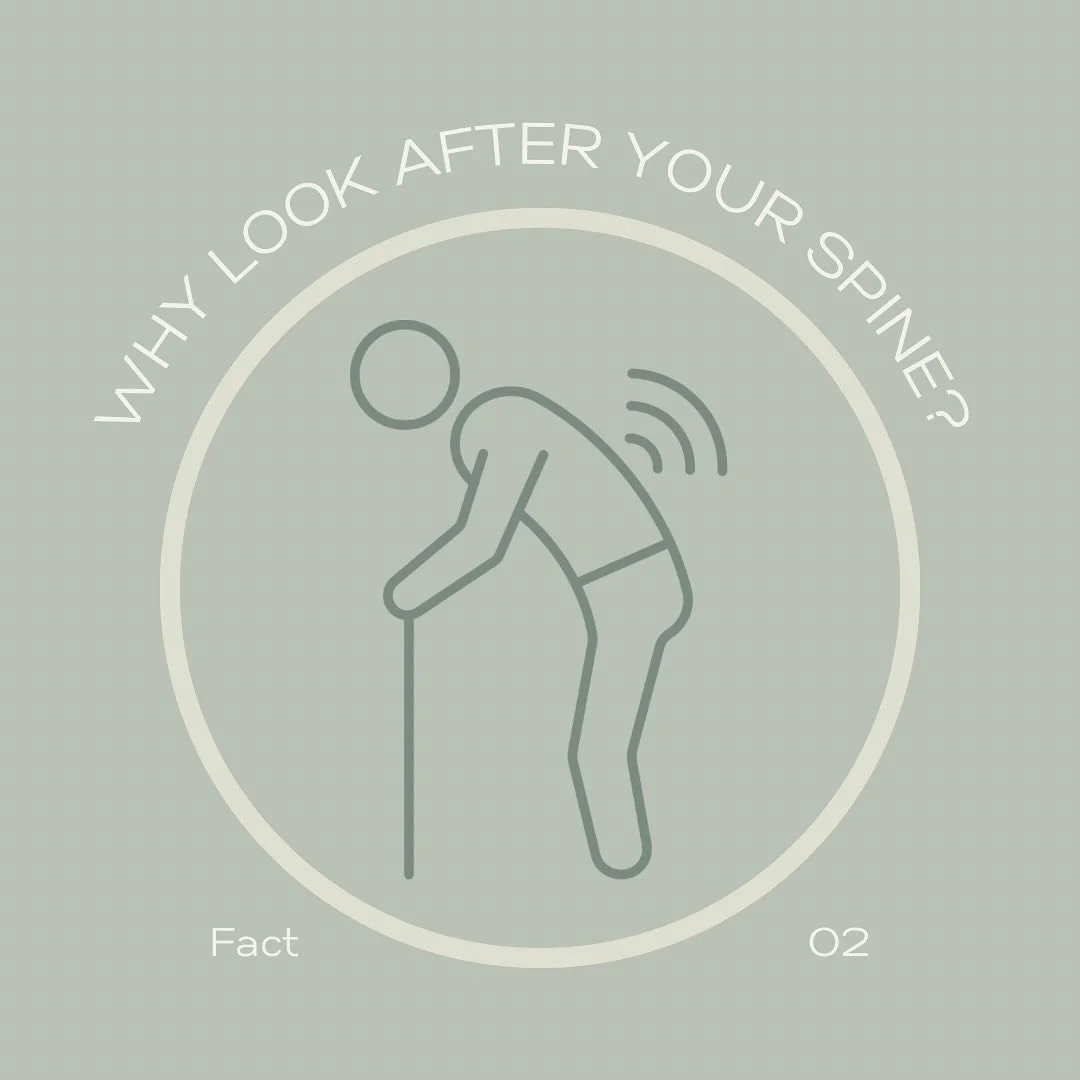 Amidst Spinal Health Week, it&rsquo;s crucial to shed light on the prevalence of low back pain among older Australians. Let&rsquo;s nurture a culture of proactive care and support, ensuring everyBODY can lead active, pain-free lives.

#SpinalHealthWe