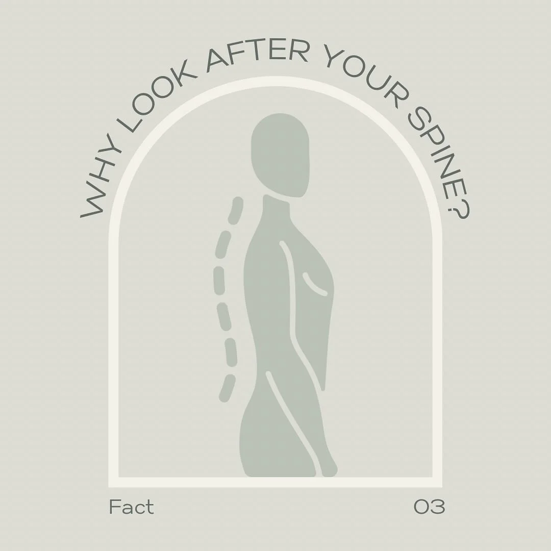 To wrap up Spinal Health Week let&rsquo;s look at unlocking the body&rsquo;s natural healing potential, one adjustment at a time, by saying goodbye to back pain with our drug-free approach to chiropractic care 💫 We don&rsquo;t just treat symptoms; w