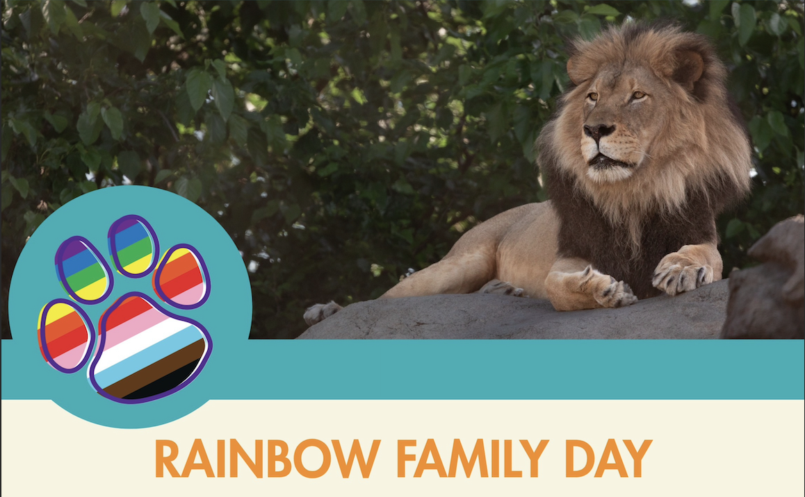 Rainbow Family Day 