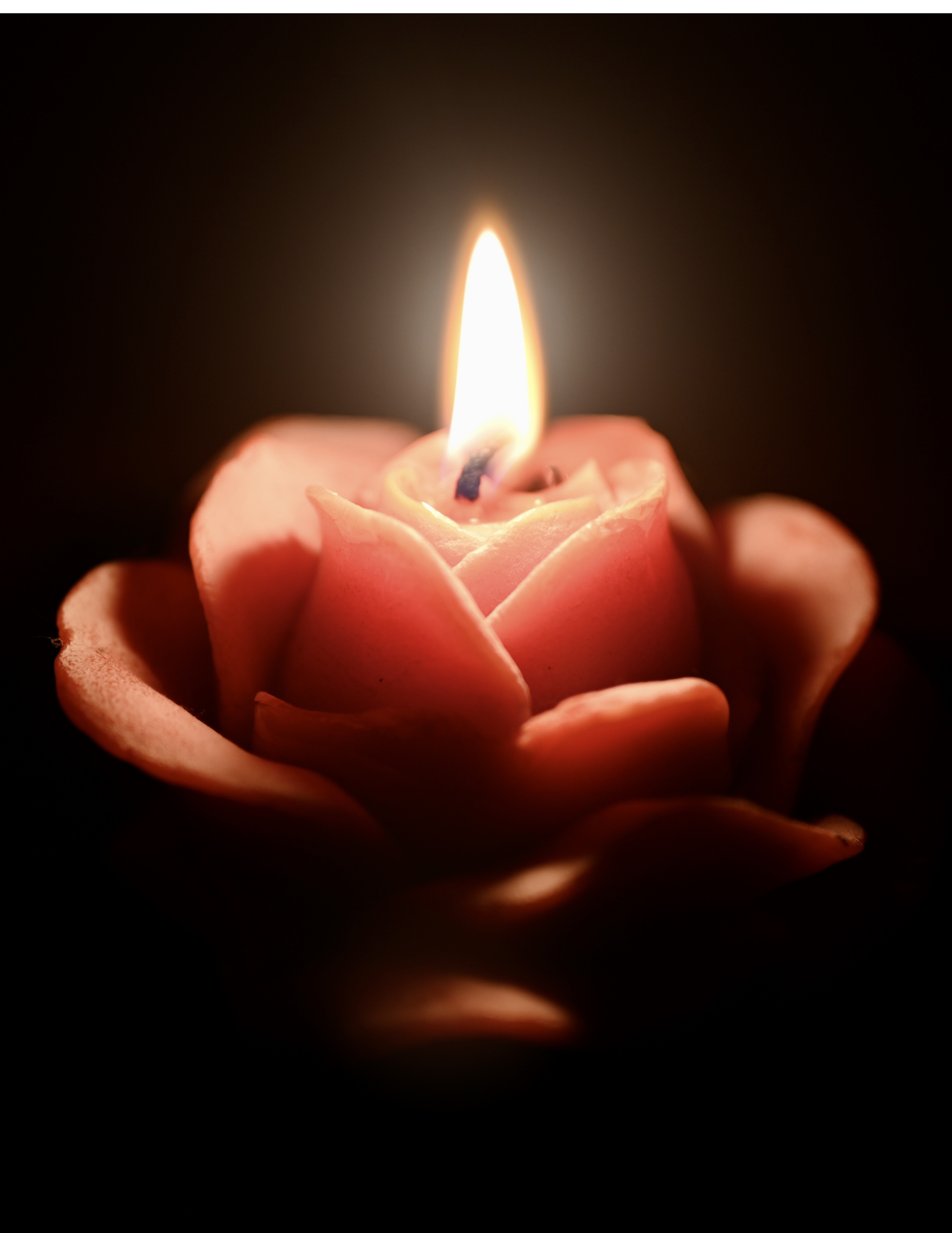 Heart to Heart Circle