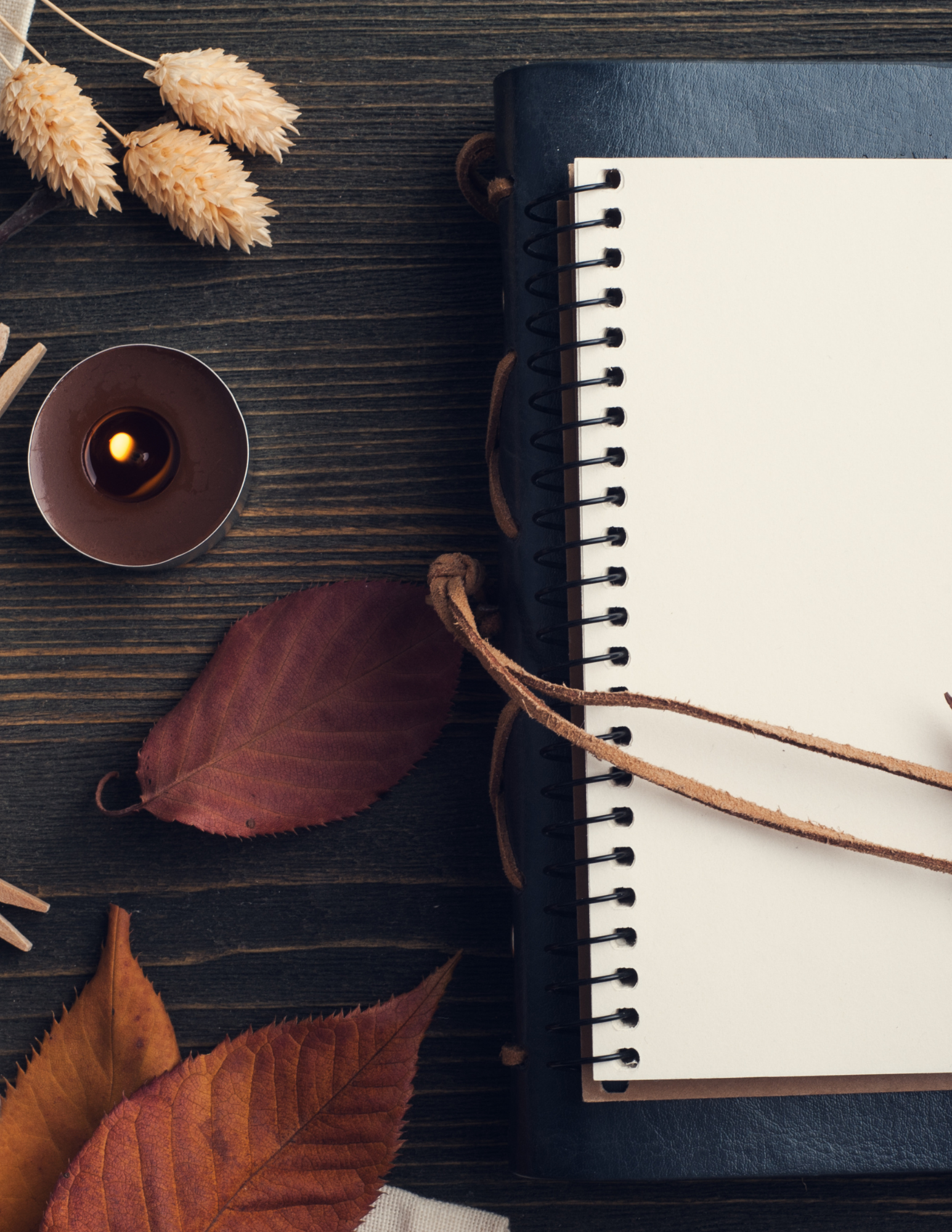 Journal (1).png