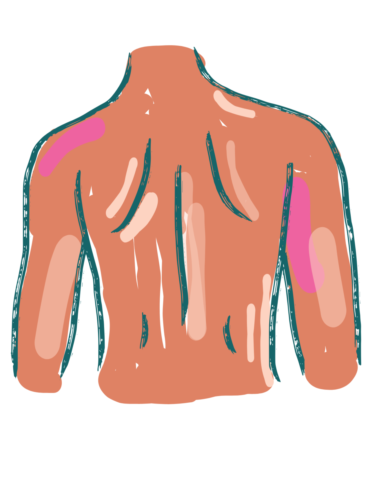 A drawing of a healthy body silhouette.