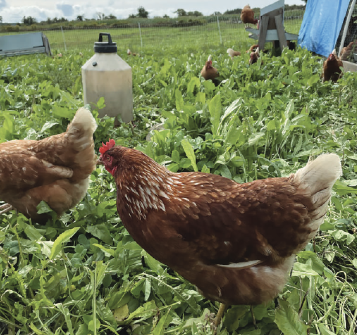 Screenshot 2024-03-24 at 7.28.31 PM.png