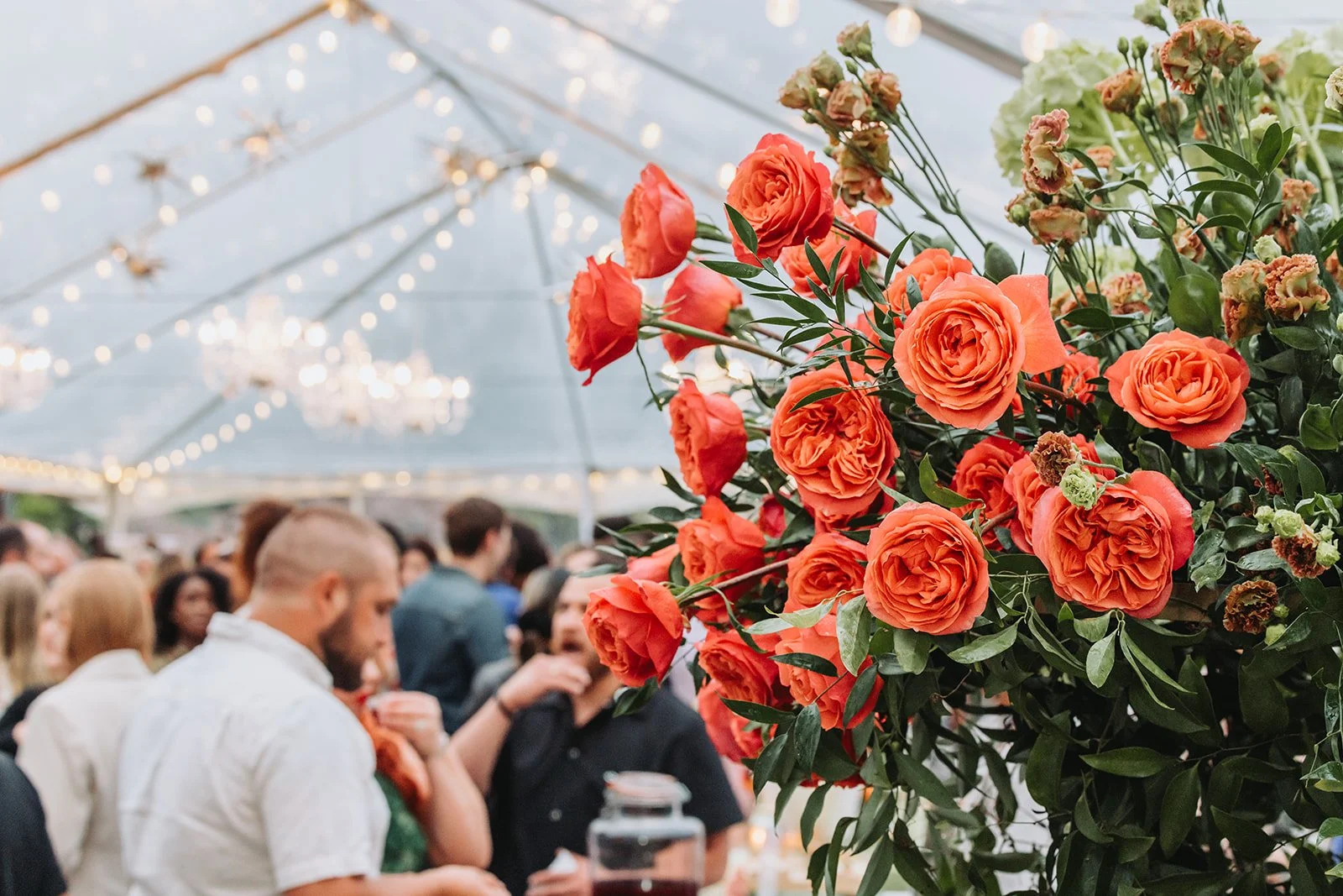 Tilton and Donaromas.jpg