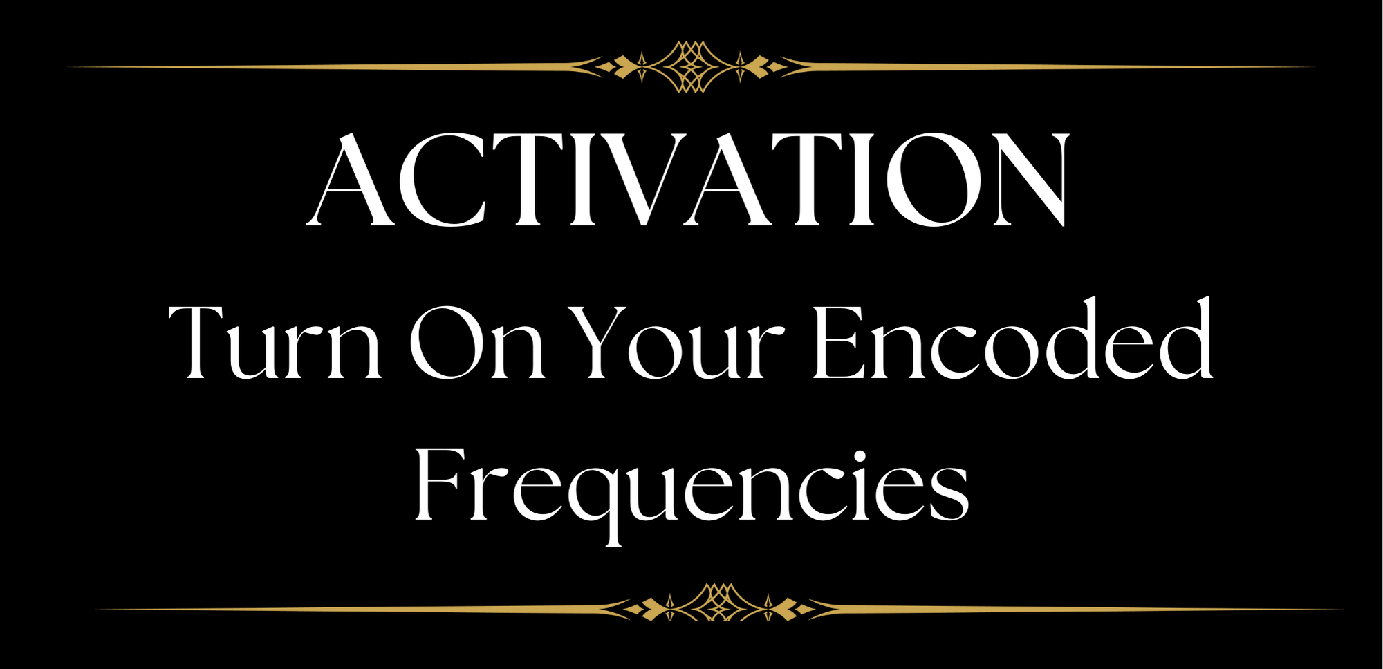 The Activation (2).png