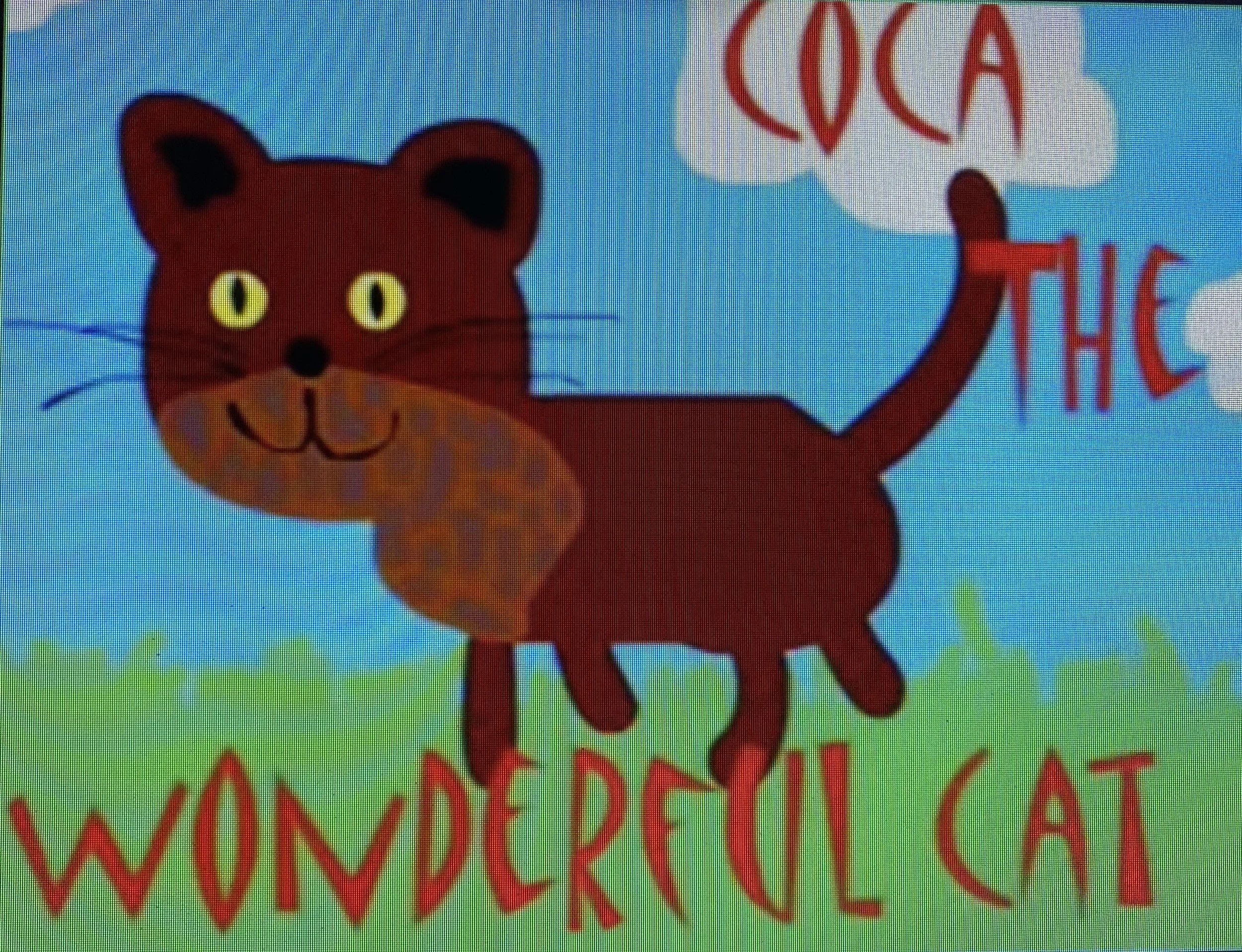 Coco the wonderful cat.jpg
