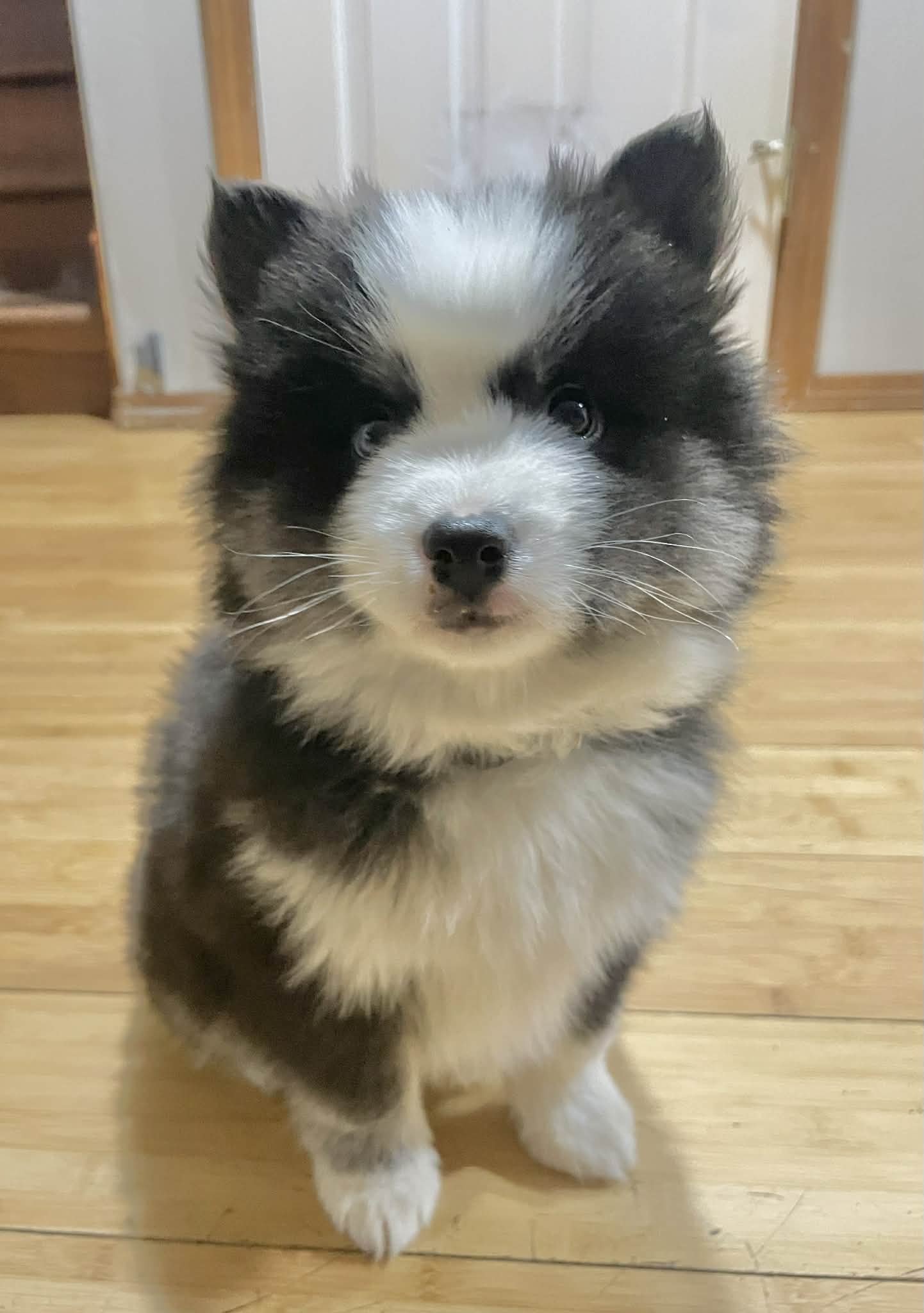 29980d2e-287a-4451-8835-86c9816aba6c.jpg (Copy)